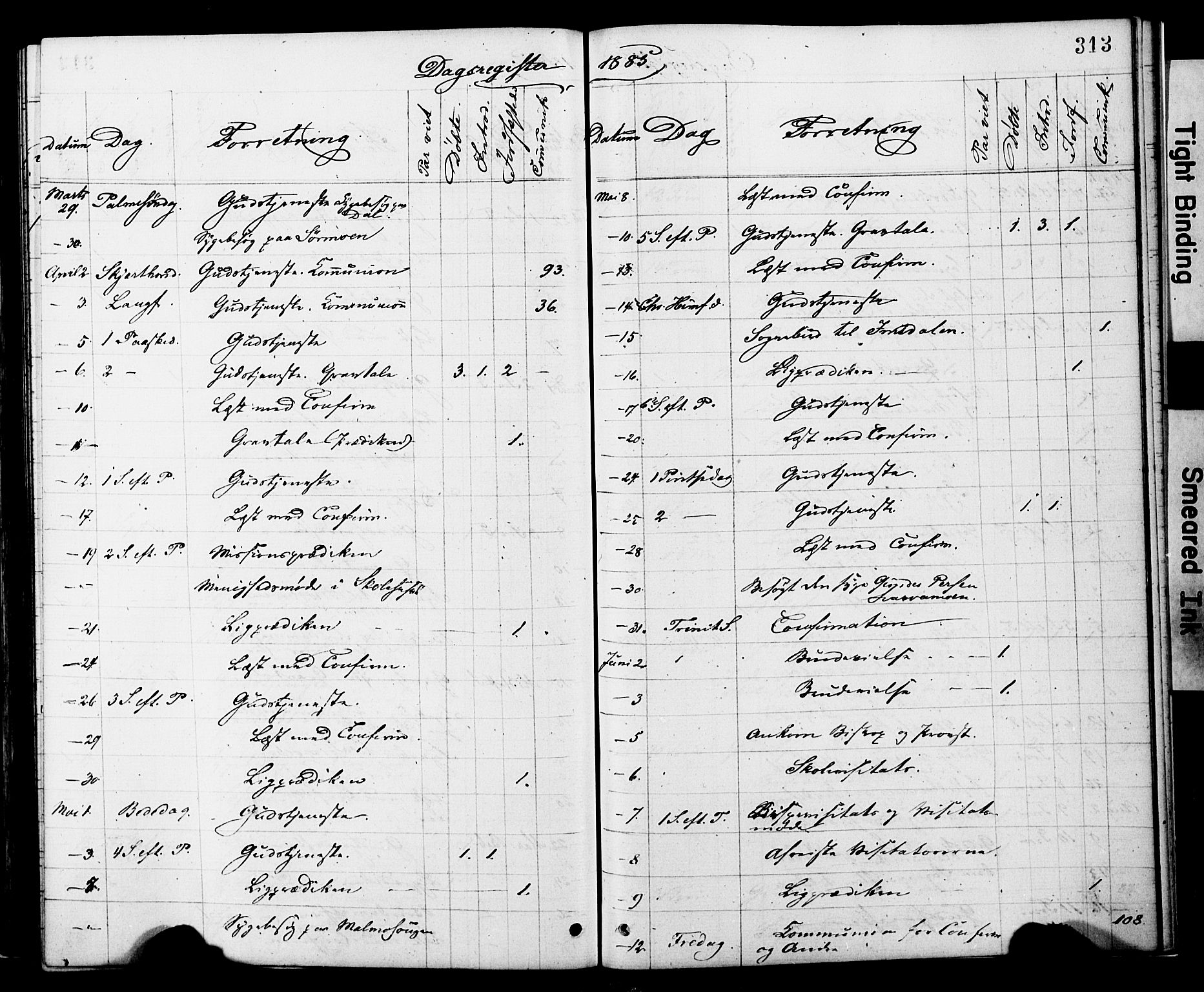 Ministerialprotokoller, klokkerbøker og fødselsregistre - Nord-Trøndelag, AV/SAT-A-1458/749/L0473: Parish register (official) no. 749A07, 1873-1887, p. 313