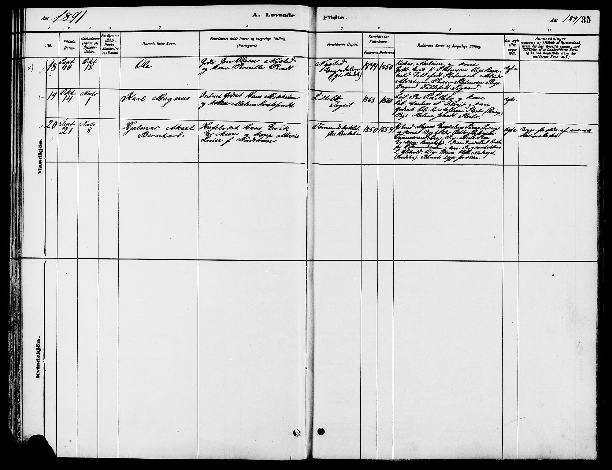 Engerdal prestekontor, AV/SAH-PREST-048/H/Ha/Haa/L0001: Parish register (official) no. 1, 1881-1898, p. 35