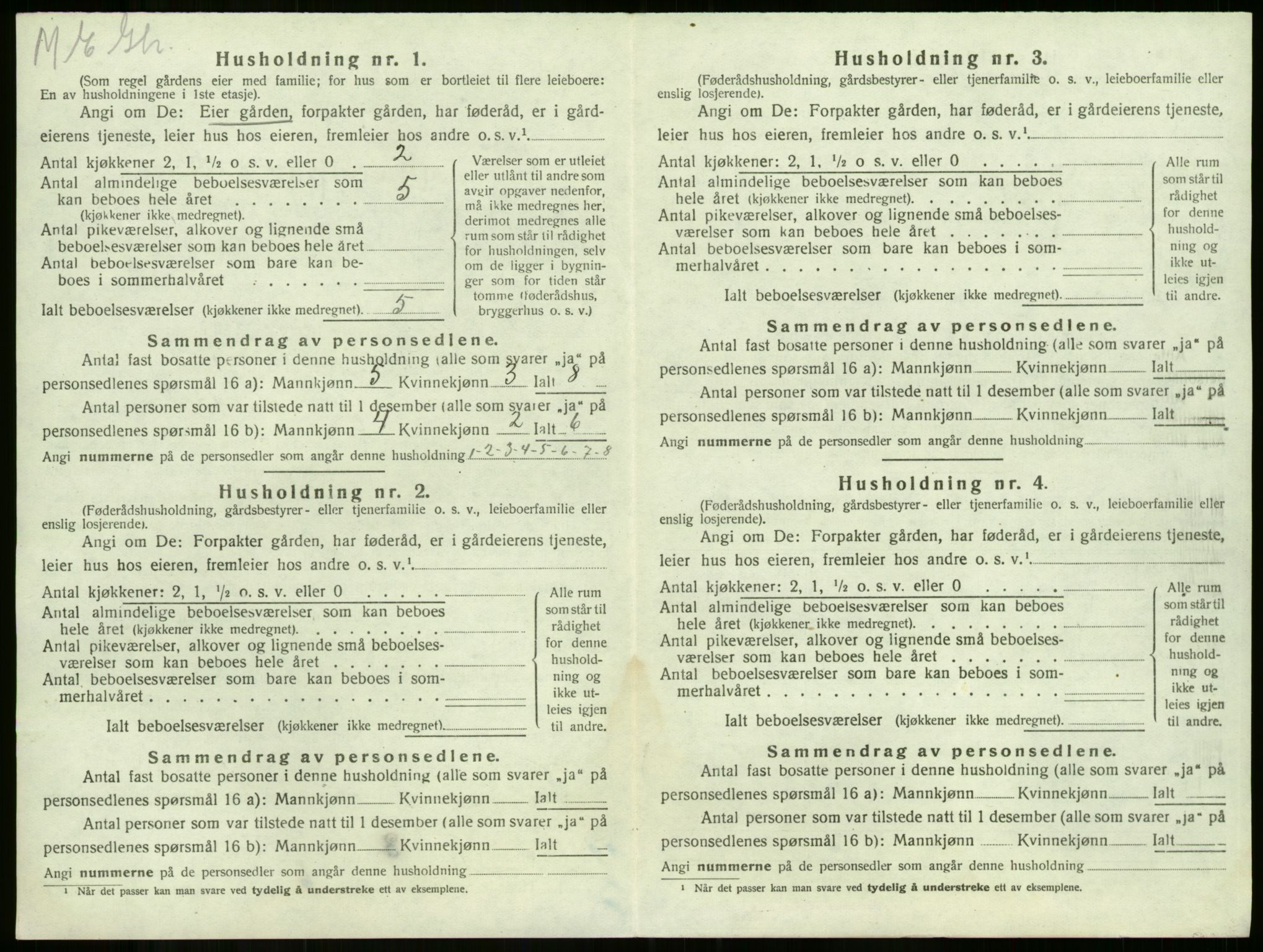 SAKO, 1920 census for Våle, 1920, p. 1007