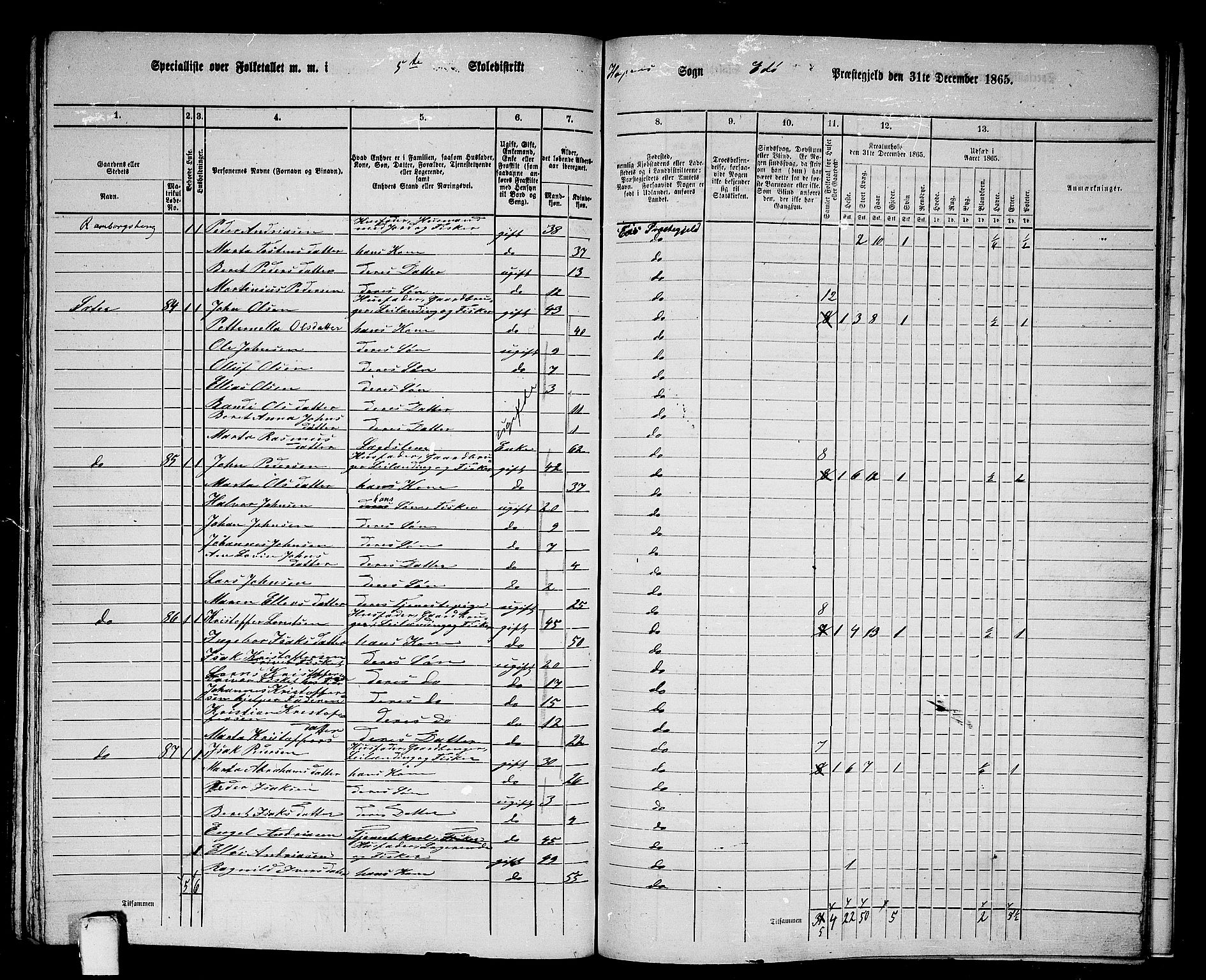 RA, 1865 census for Edøy, 1865, p. 153