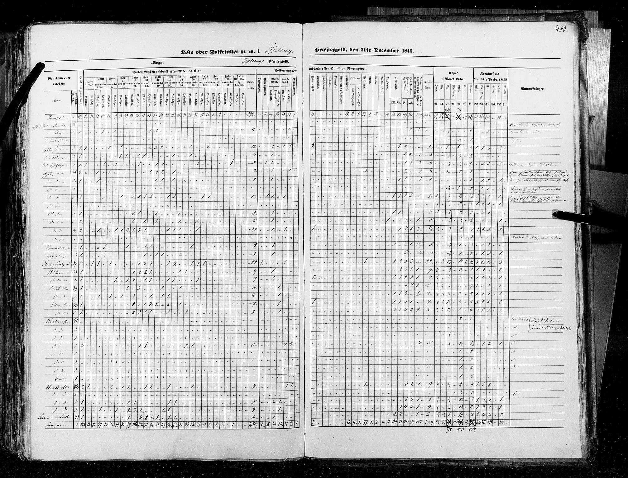 RA, Census 1845, vol. 4: Buskerud amt og Jarlsberg og Larvik amt, 1845, p. 480