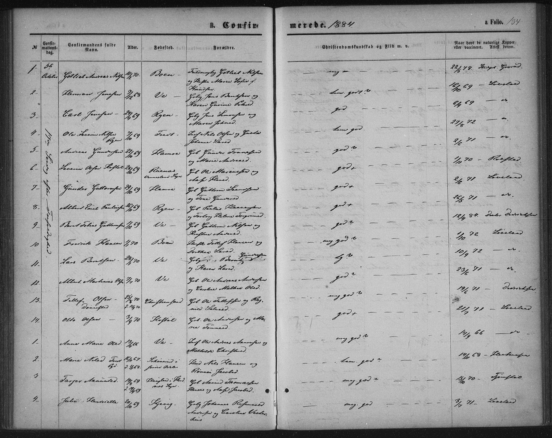 Tveit sokneprestkontor, SAK/1111-0043/F/Fa/L0006: Parish register (official) no. A 6, 1872-1886, p. 134