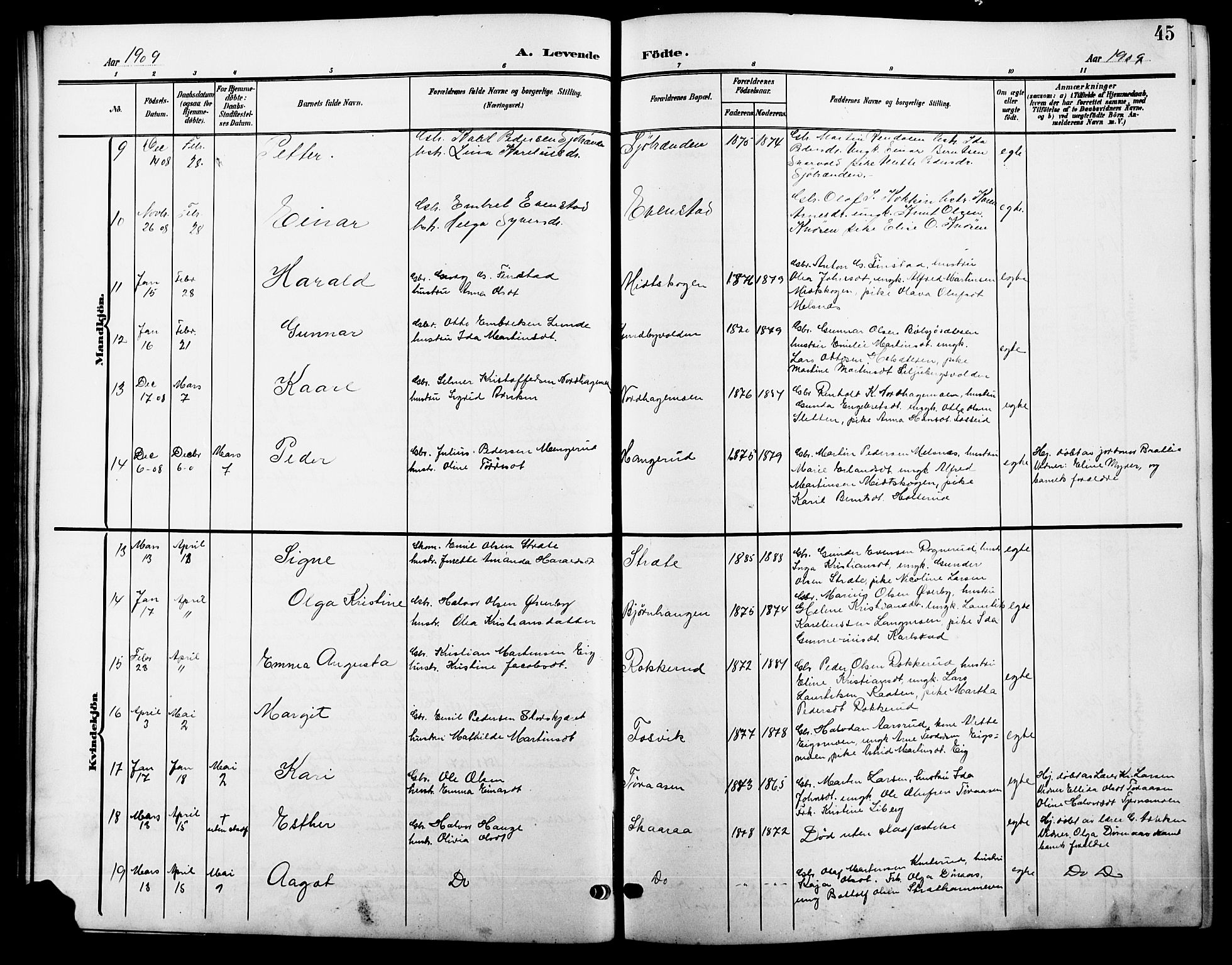 Våler prestekontor, Hedmark, AV/SAH-PREST-040/H/Ha/Hab/L0002: Parish register (copy) no. 2, 1905-1915, p. 45