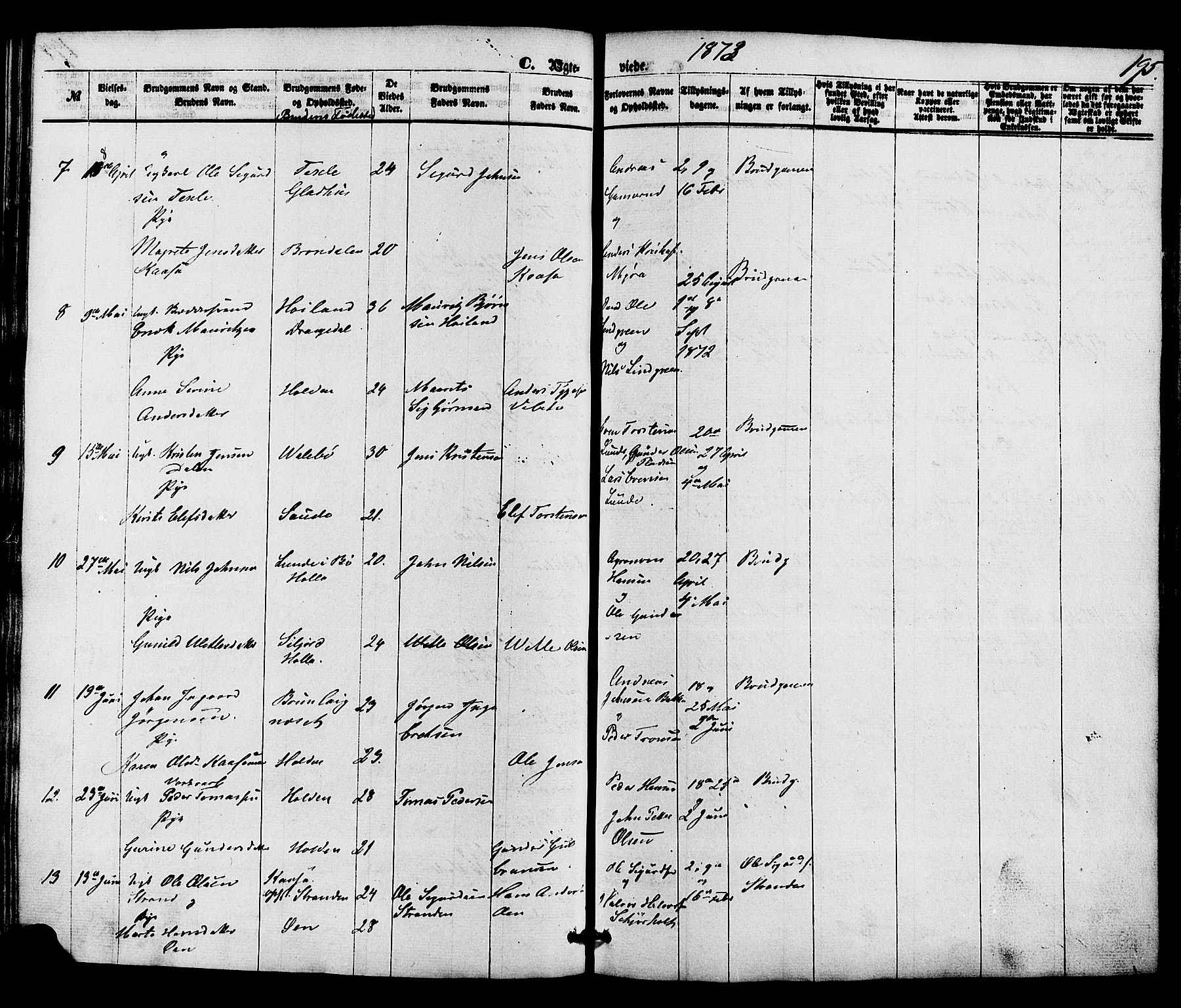 Holla kirkebøker, SAKO/A-272/F/Fa/L0007: Parish register (official) no. 7, 1869-1881, p. 195