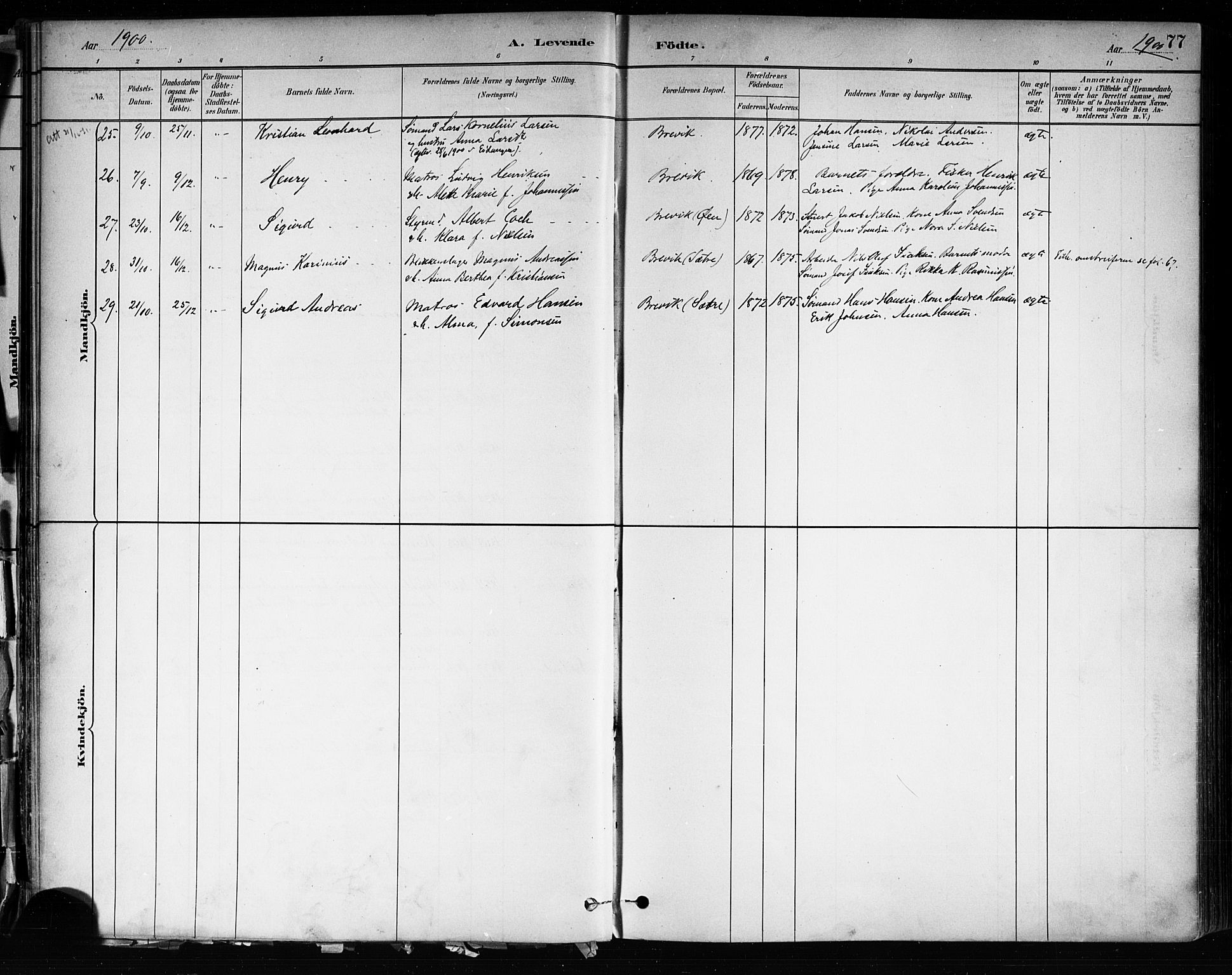 Brevik kirkebøker, SAKO/A-255/F/Fa/L0007: Parish register (official) no. 7, 1882-1900, p. 77