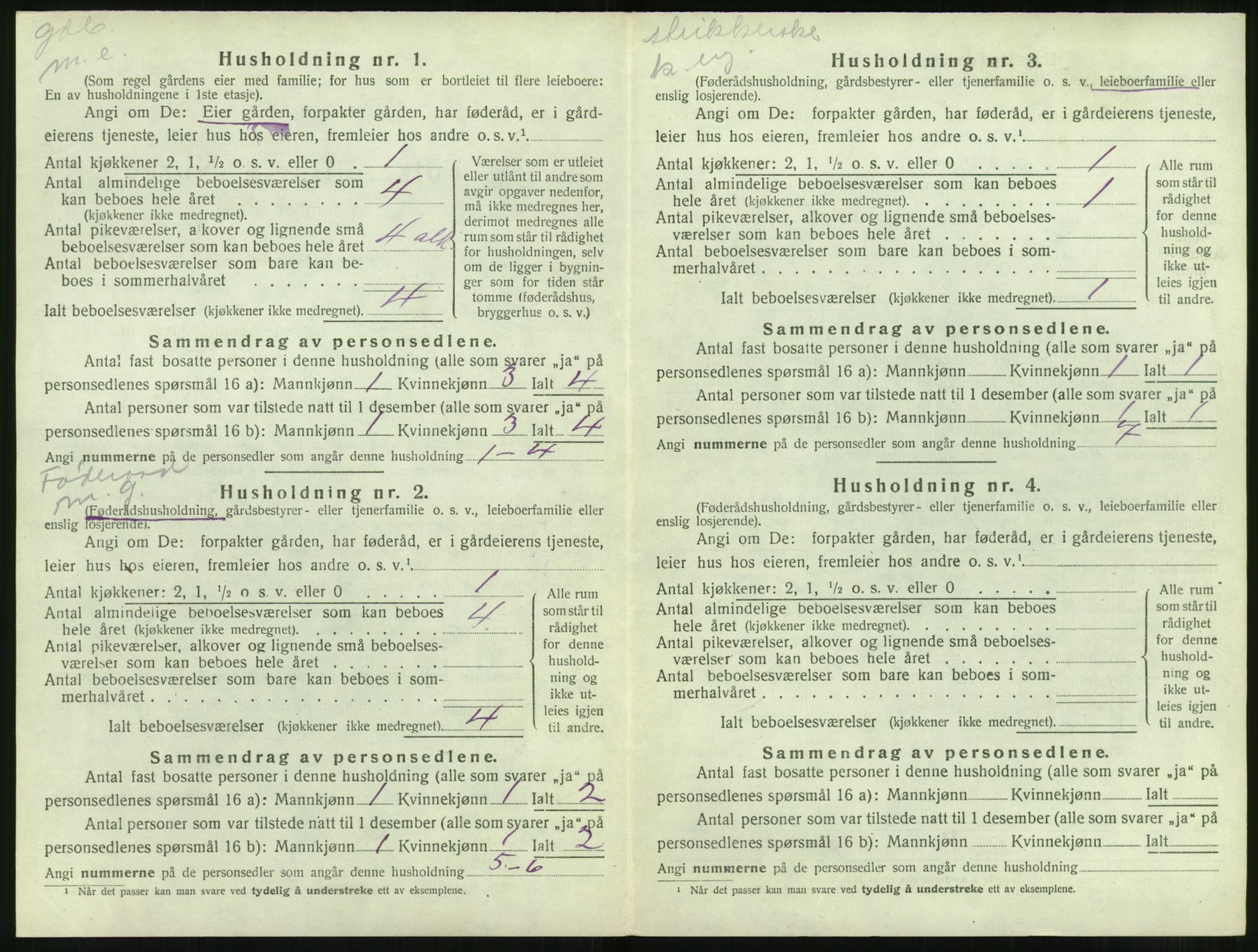 SAT, 1920 census for Sande (MR), 1920, p. 203