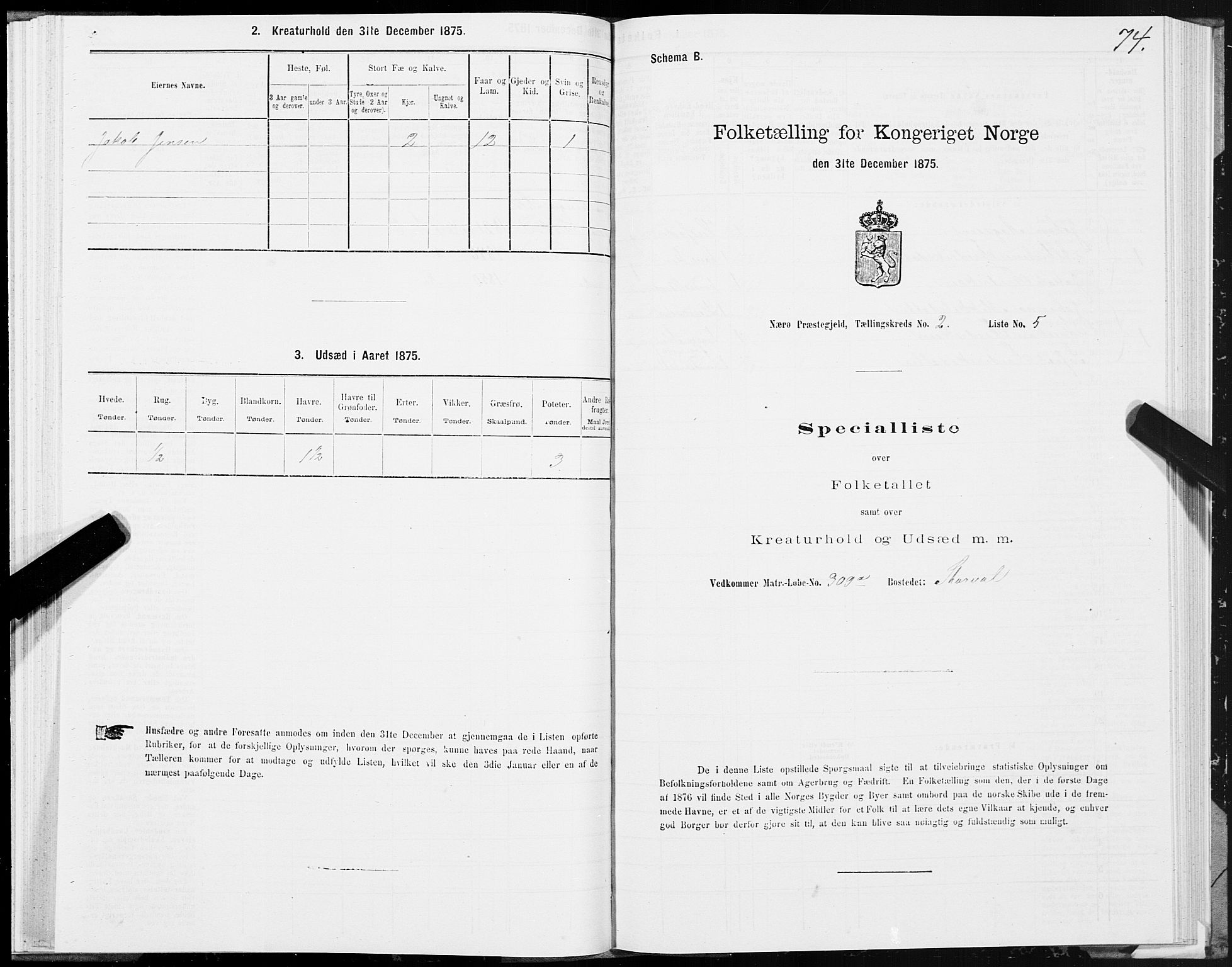 SAT, 1875 census for 1751P Nærøy, 1875, p. 1074