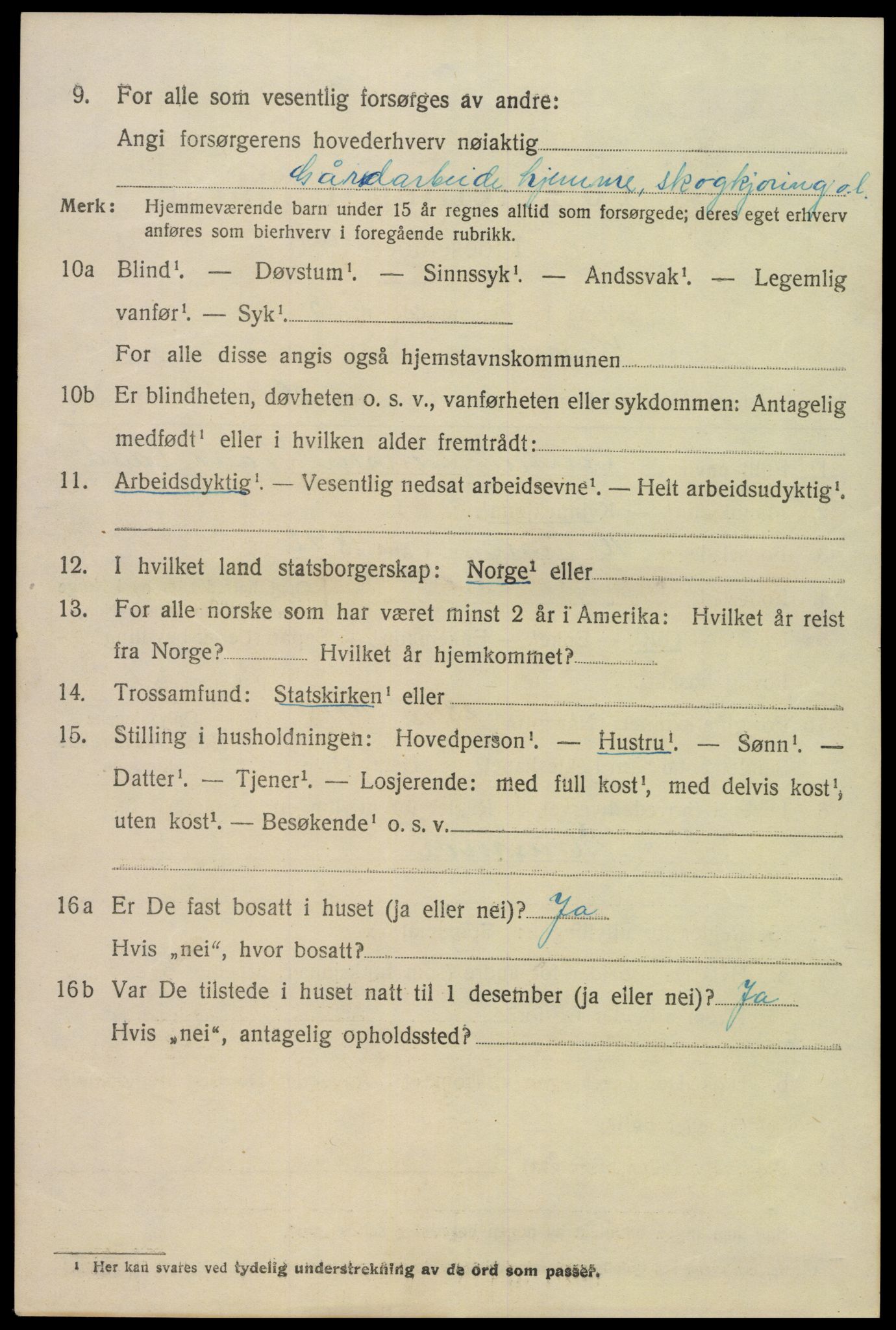SAK, 1920 census for Hornnes, 1920, p. 2902