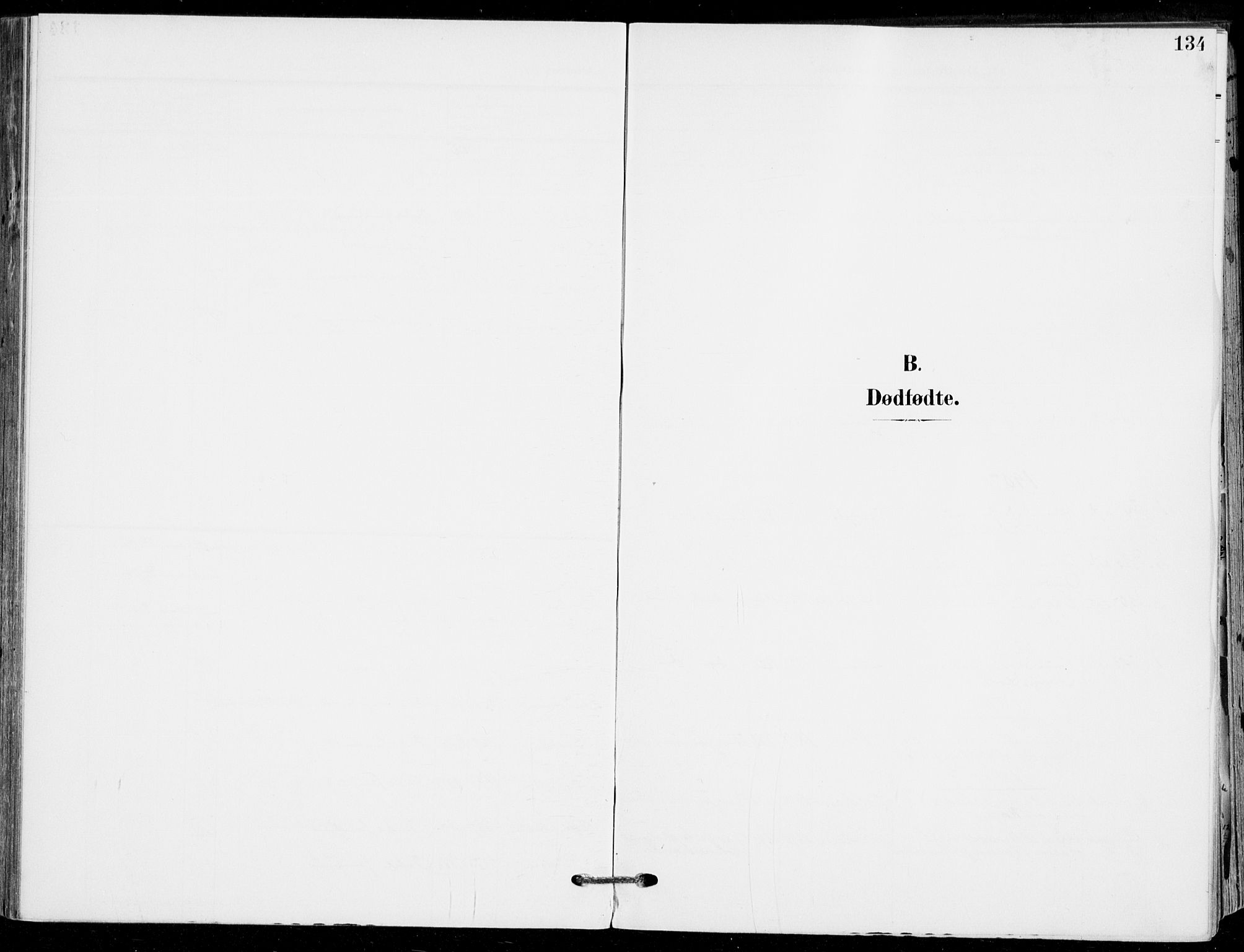 Sande Kirkebøker, SAKO/A-53/F/Fa/L0008: Parish register (official) no. 8, 1904-1921, p. 134