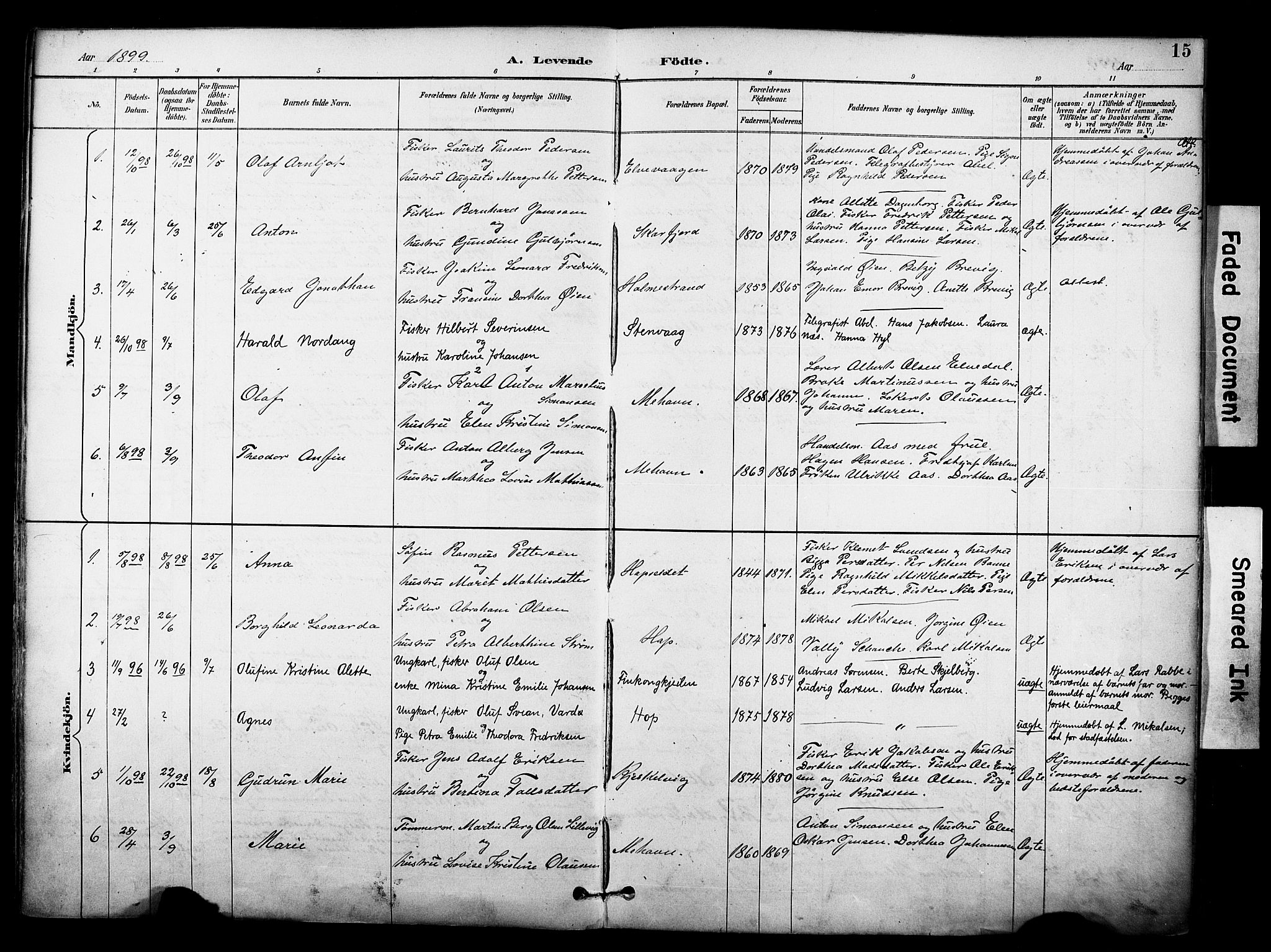 Tana sokneprestkontor, SATØ/S-1334/H/Ha/L0006kirke: Parish register (official) no. 6, 1892-1908, p. 15