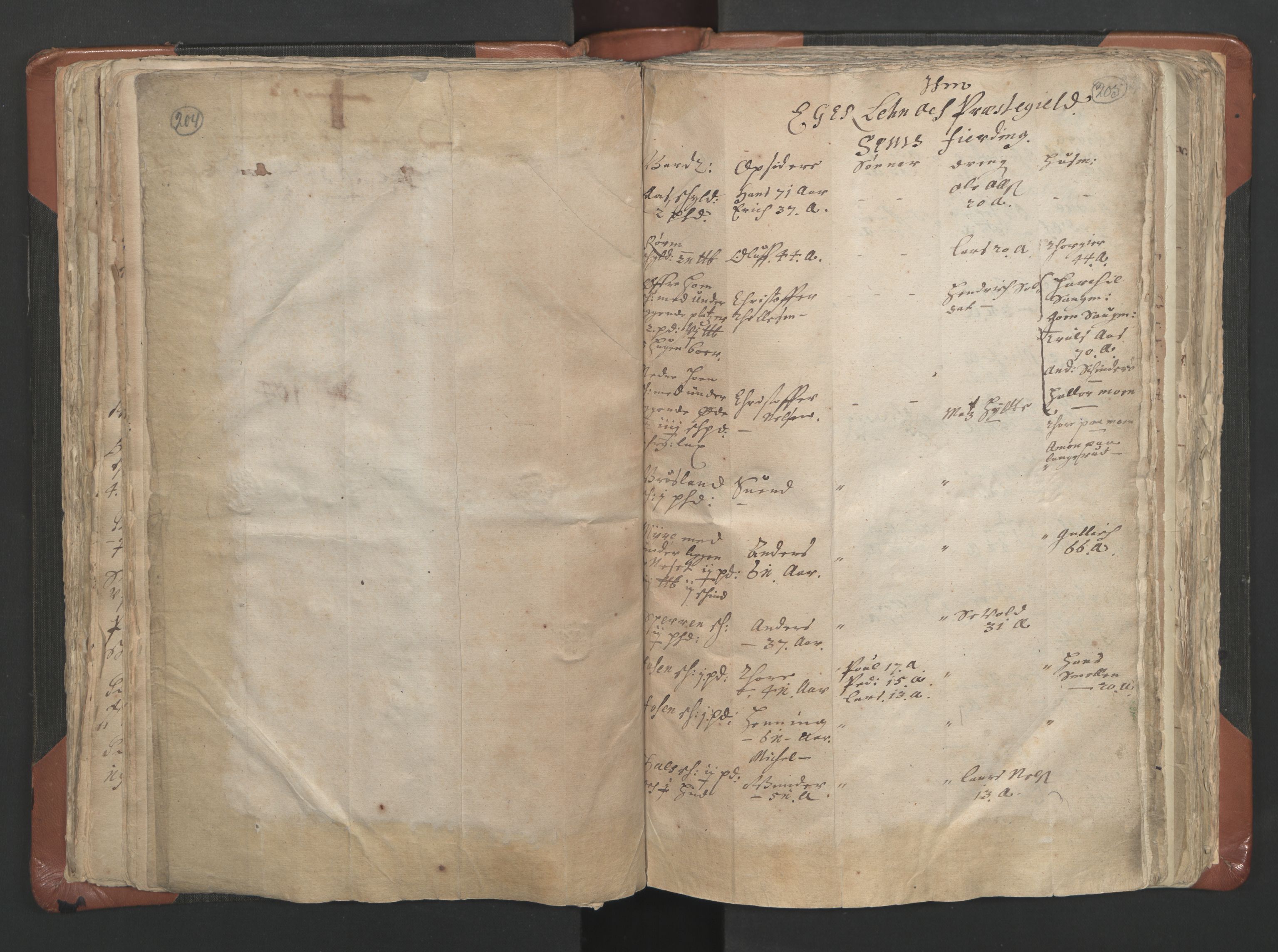 RA, Vicar's Census 1664-1666, no. 9: Bragernes deanery, 1664-1666, p. 204-205