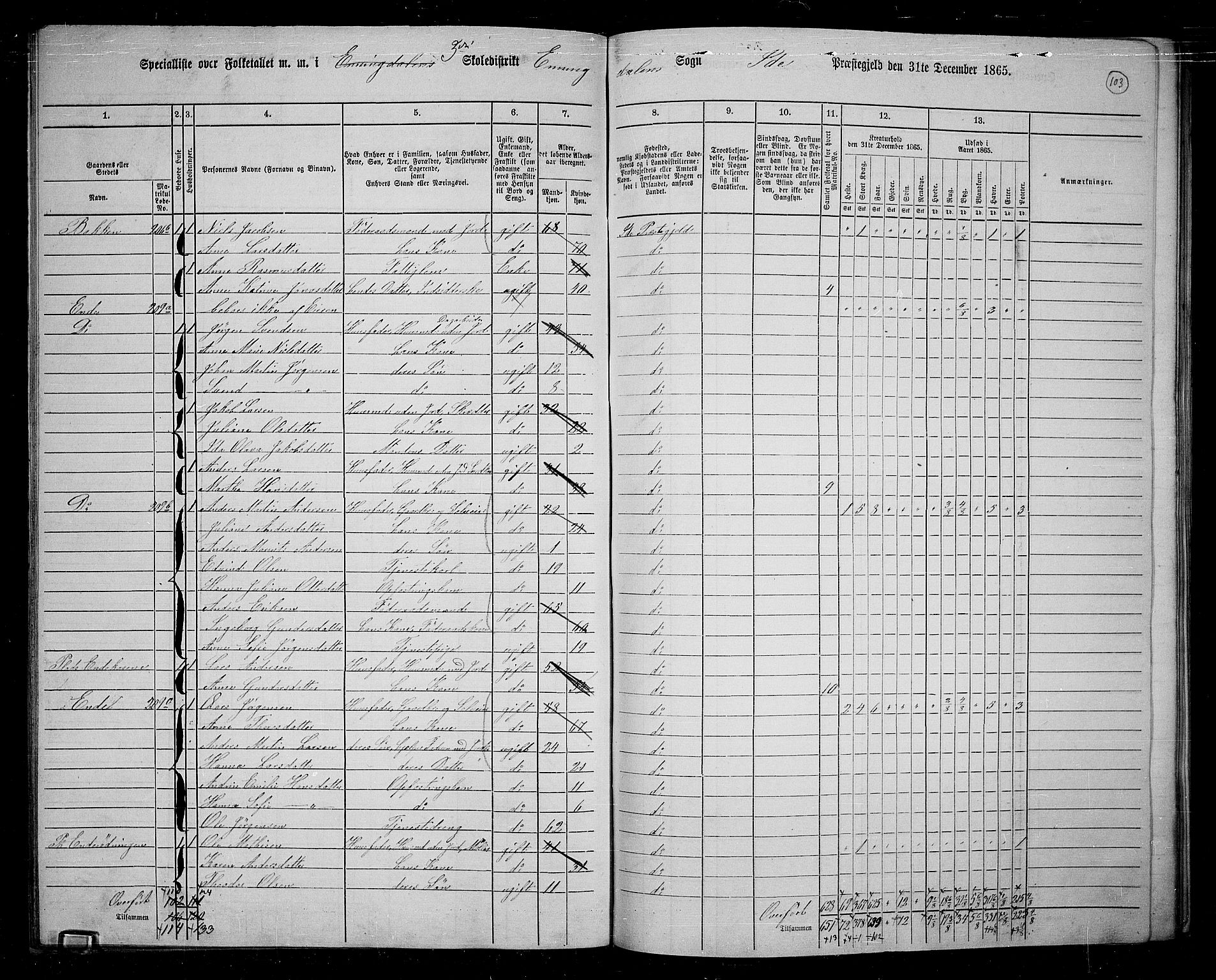 RA, 1865 census for Idd, 1865, p. 92