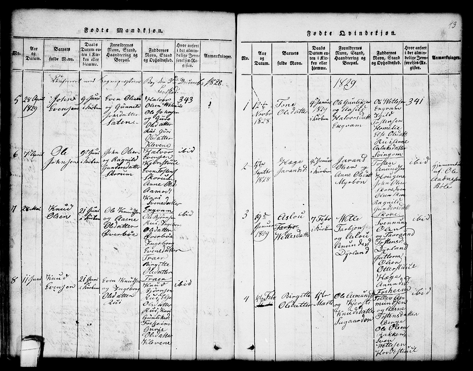 Seljord kirkebøker, SAKO/A-20/G/Gc/L0001: Parish register (copy) no. III 1, 1815-1849, p. 43