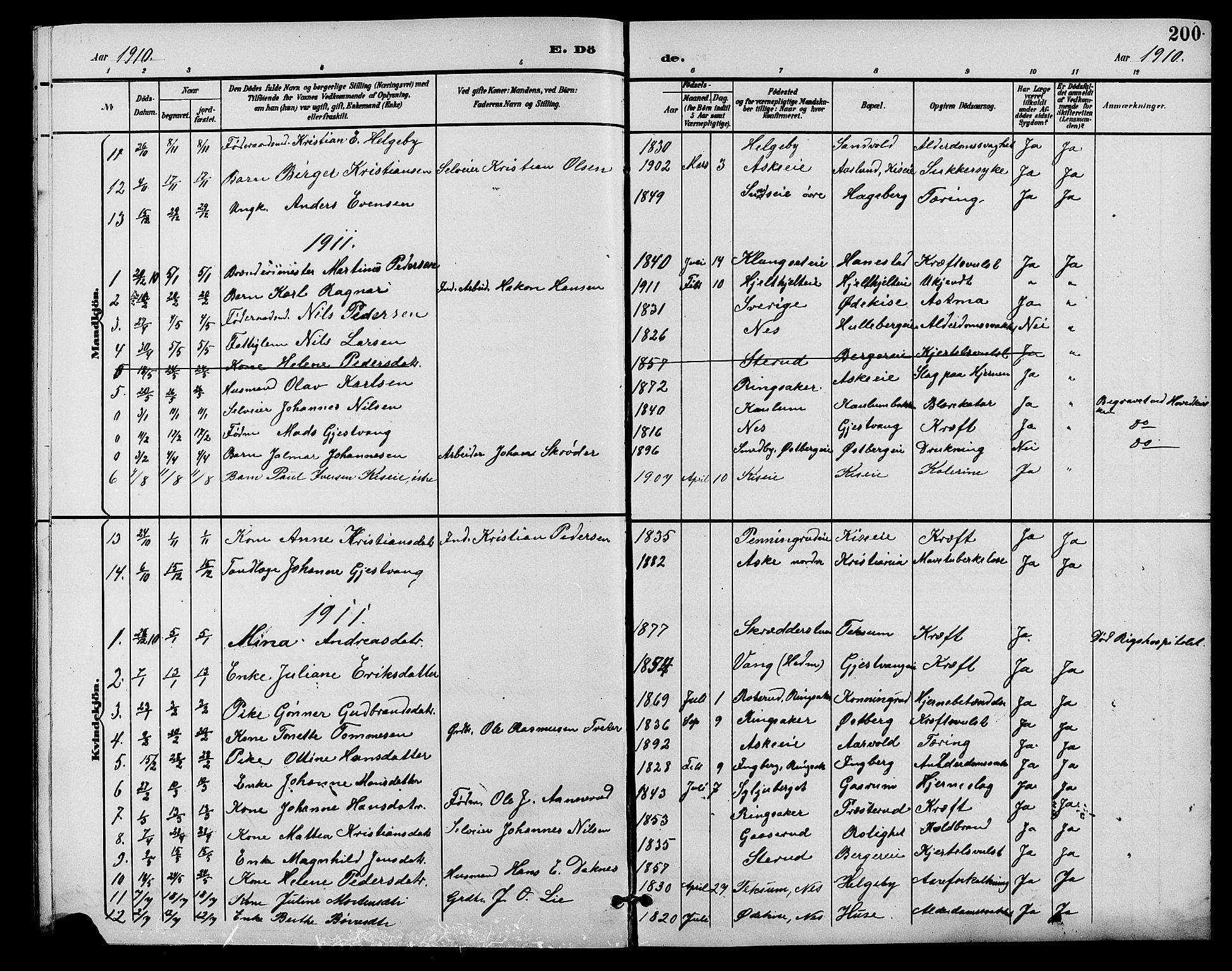 Nes prestekontor, Hedmark, AV/SAH-PREST-020/L/La/L0007: Parish register (copy) no. 7, 1892-1912, p. 200