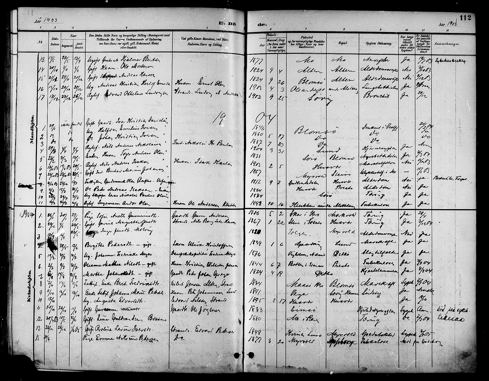 Ministerialprotokoller, klokkerbøker og fødselsregistre - Nordland, SAT/A-1459/830/L0463: Parish register (copy) no. 830C05, 1895-1906, p. 112
