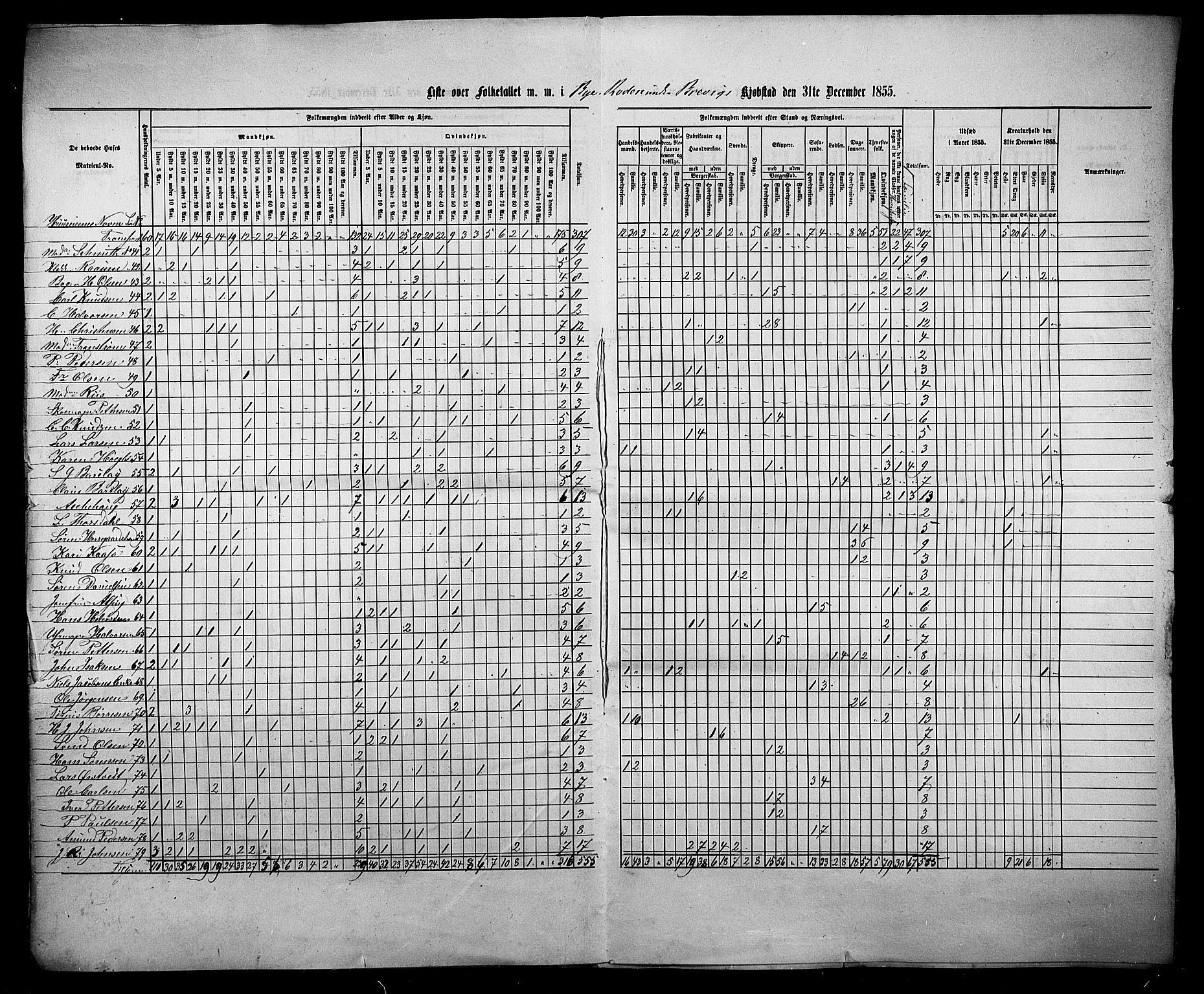 , Census 1855 for Eidanger/Brevik, 1855, p. 4