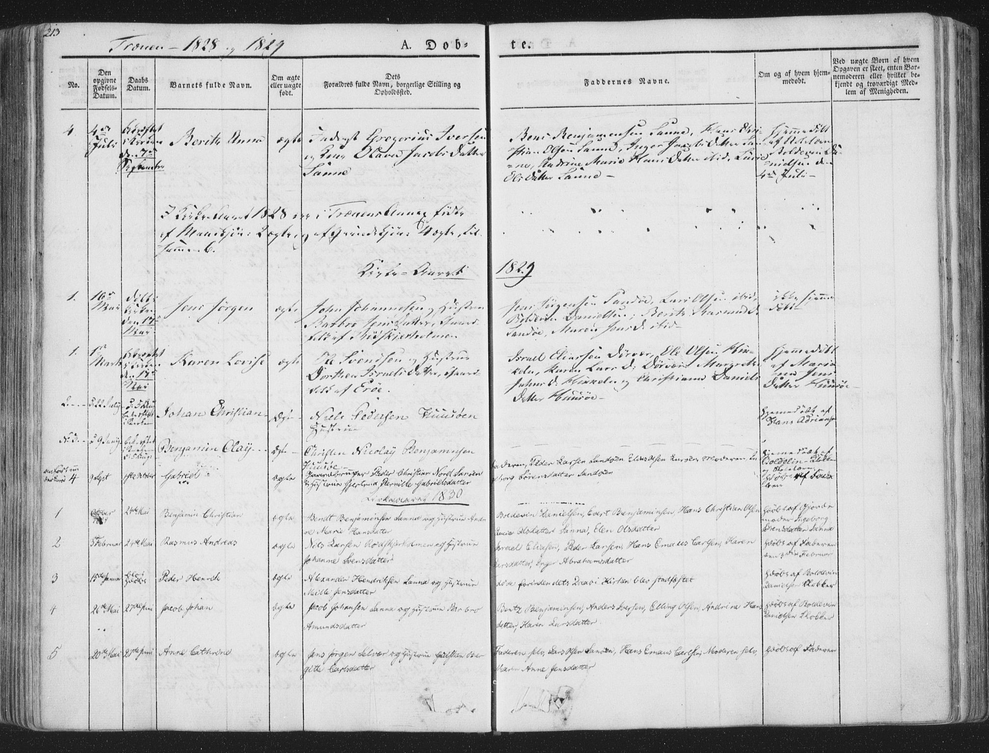 Ministerialprotokoller, klokkerbøker og fødselsregistre - Nordland, SAT/A-1459/839/L0565: Parish register (official) no. 839A02, 1825-1862, p. 213