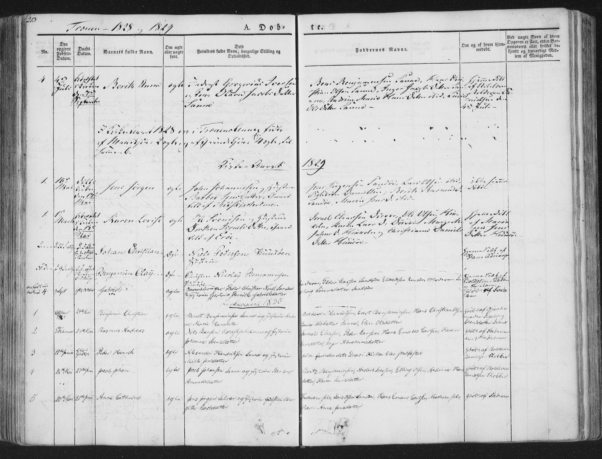 Ministerialprotokoller, klokkerbøker og fødselsregistre - Nordland, AV/SAT-A-1459/839/L0565: Parish register (official) no. 839A02, 1825-1862, p. 213