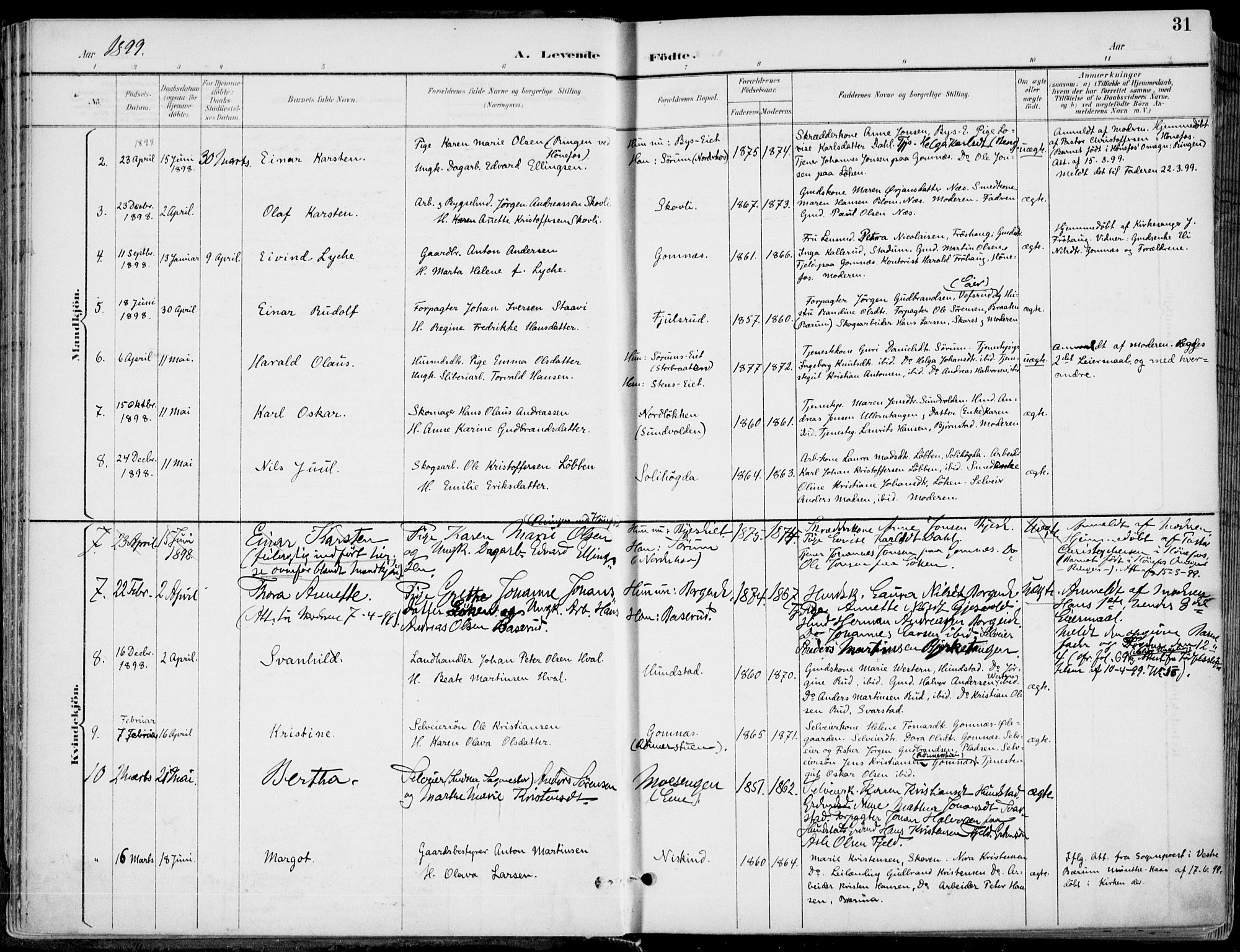 Hole kirkebøker, SAKO/A-228/F/Fa/L0009: Parish register (official) no. I 9, 1892-1907, p. 31