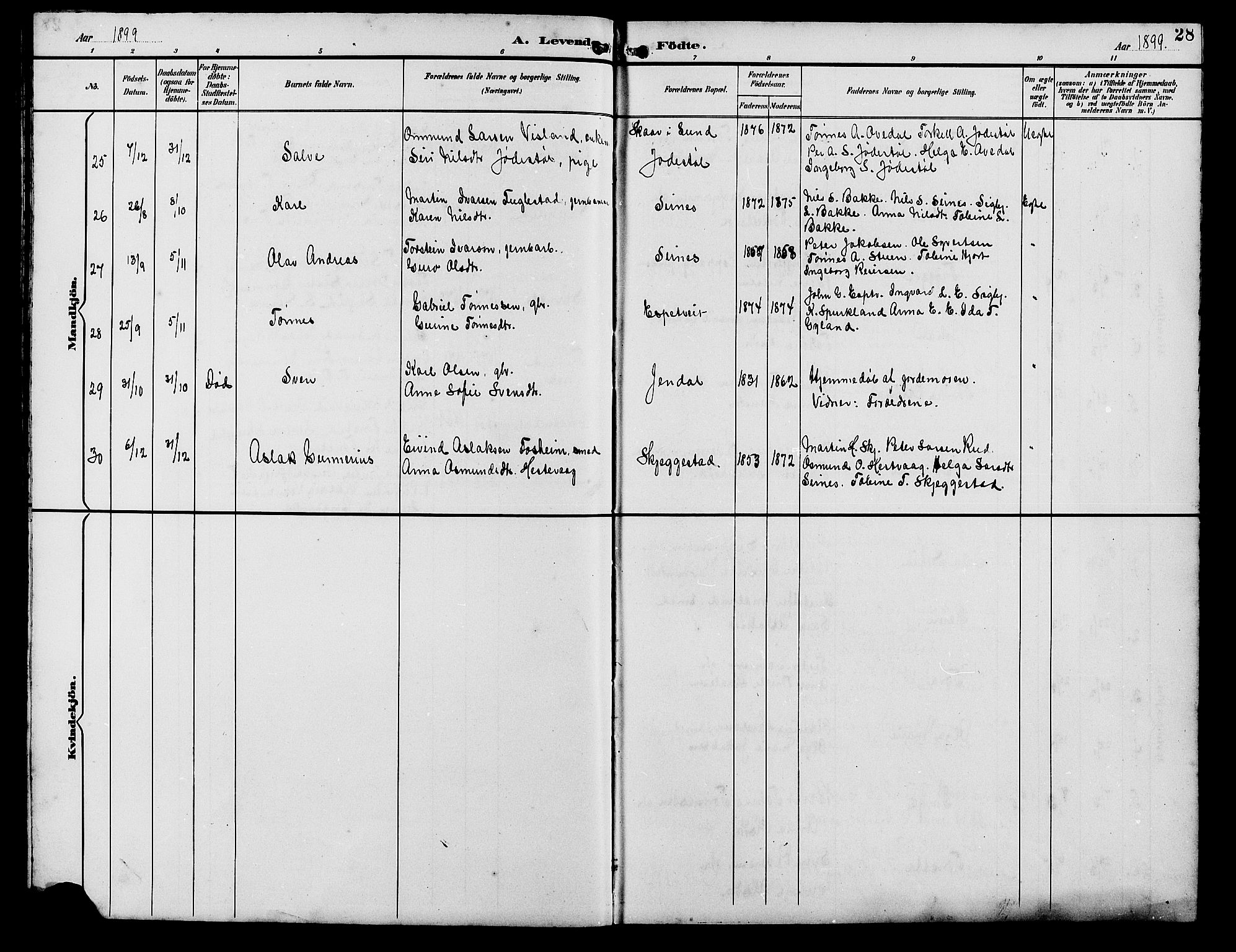 Bakke sokneprestkontor, SAK/1111-0002/F/Fb/Fba/L0003: Parish register (copy) no. B 3, 1894-1910, p. 28