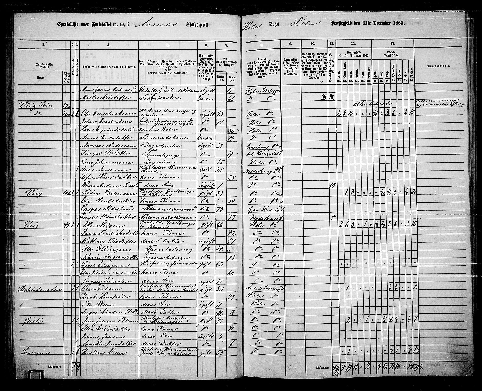 RA, 1865 census for Hole, 1865, p. 39