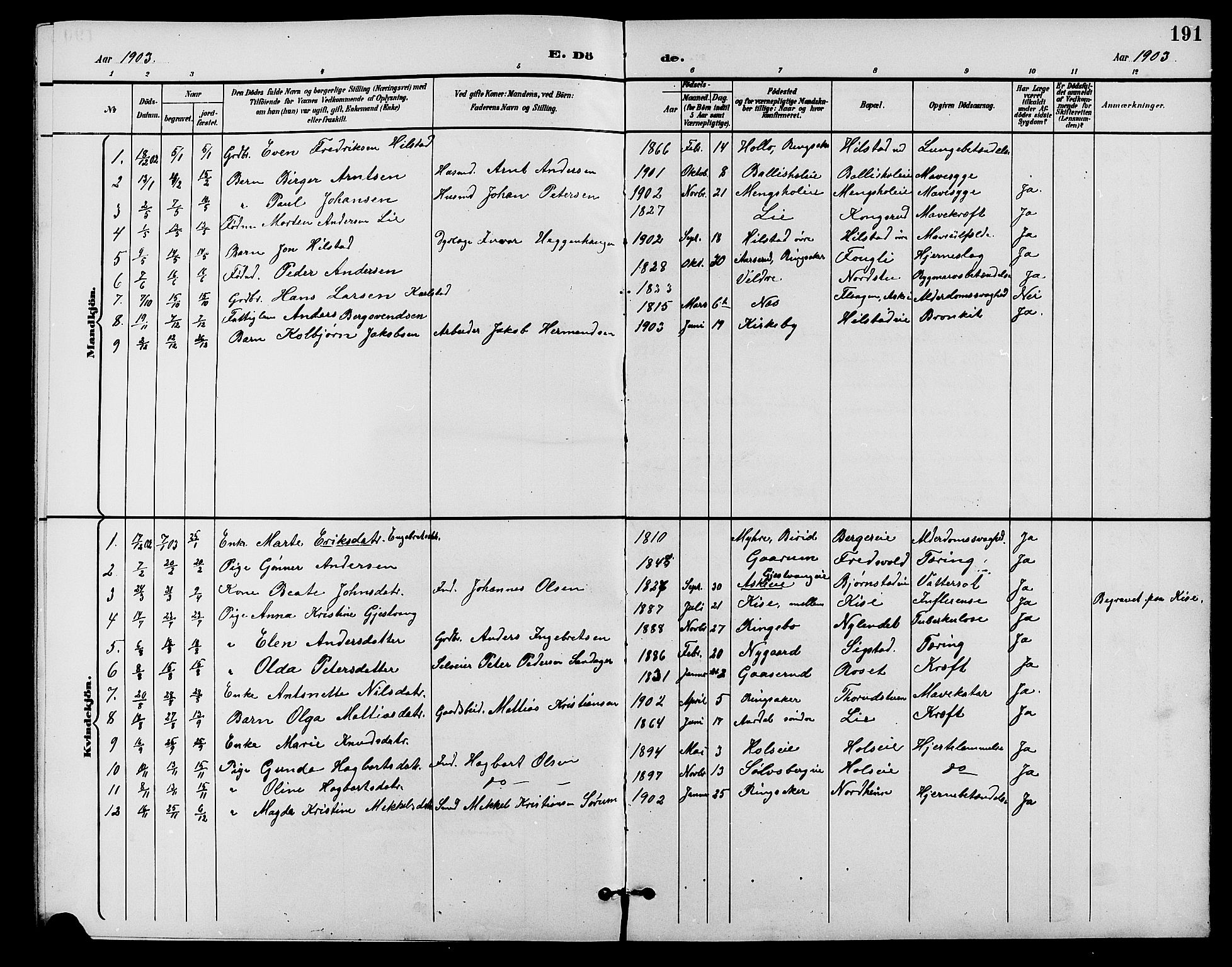 Nes prestekontor, Hedmark, SAH/PREST-020/L/La/L0007: Parish register (copy) no. 7, 1892-1912, p. 191