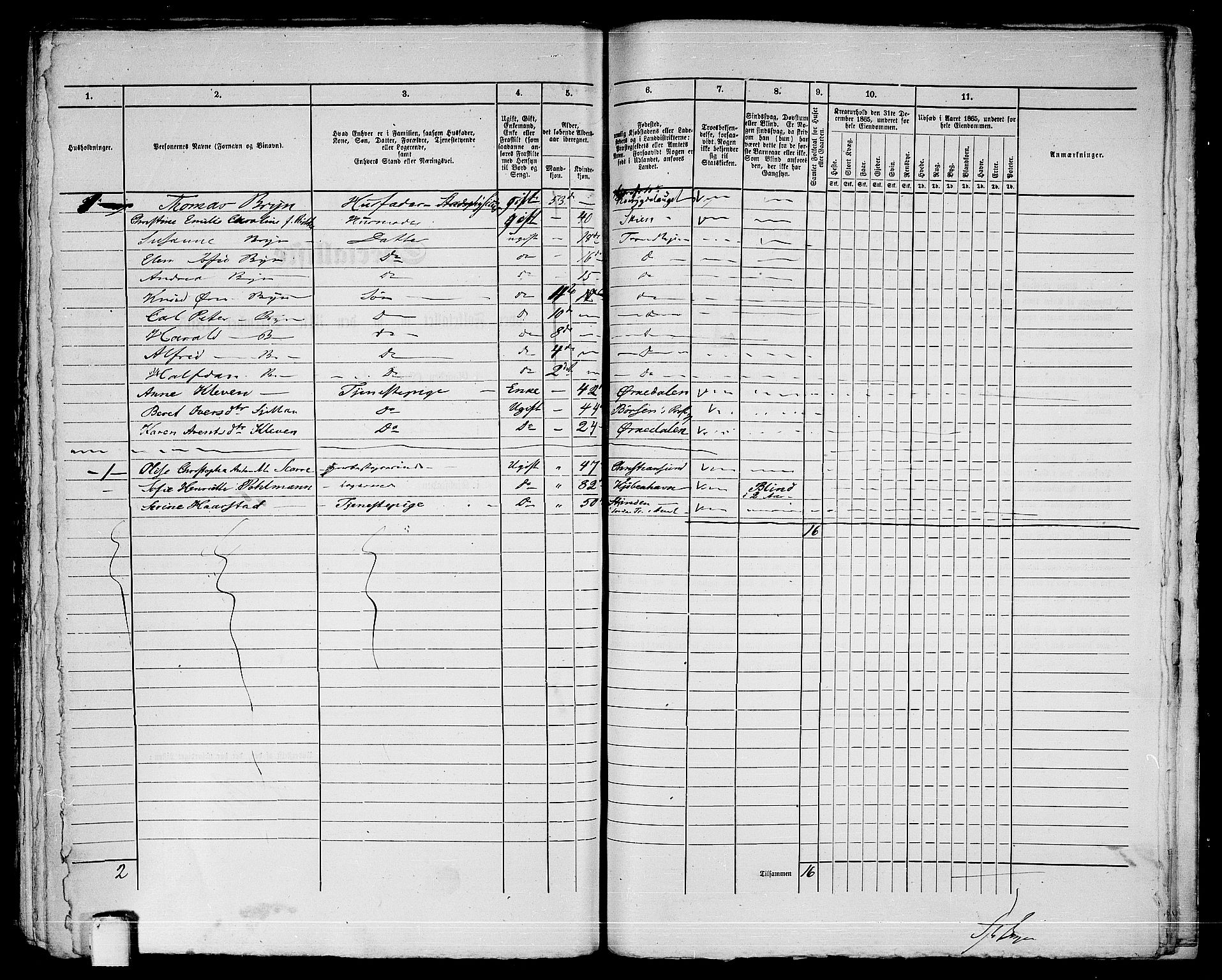 RA, 1865 census for Trondheim, 1865, p. 1025