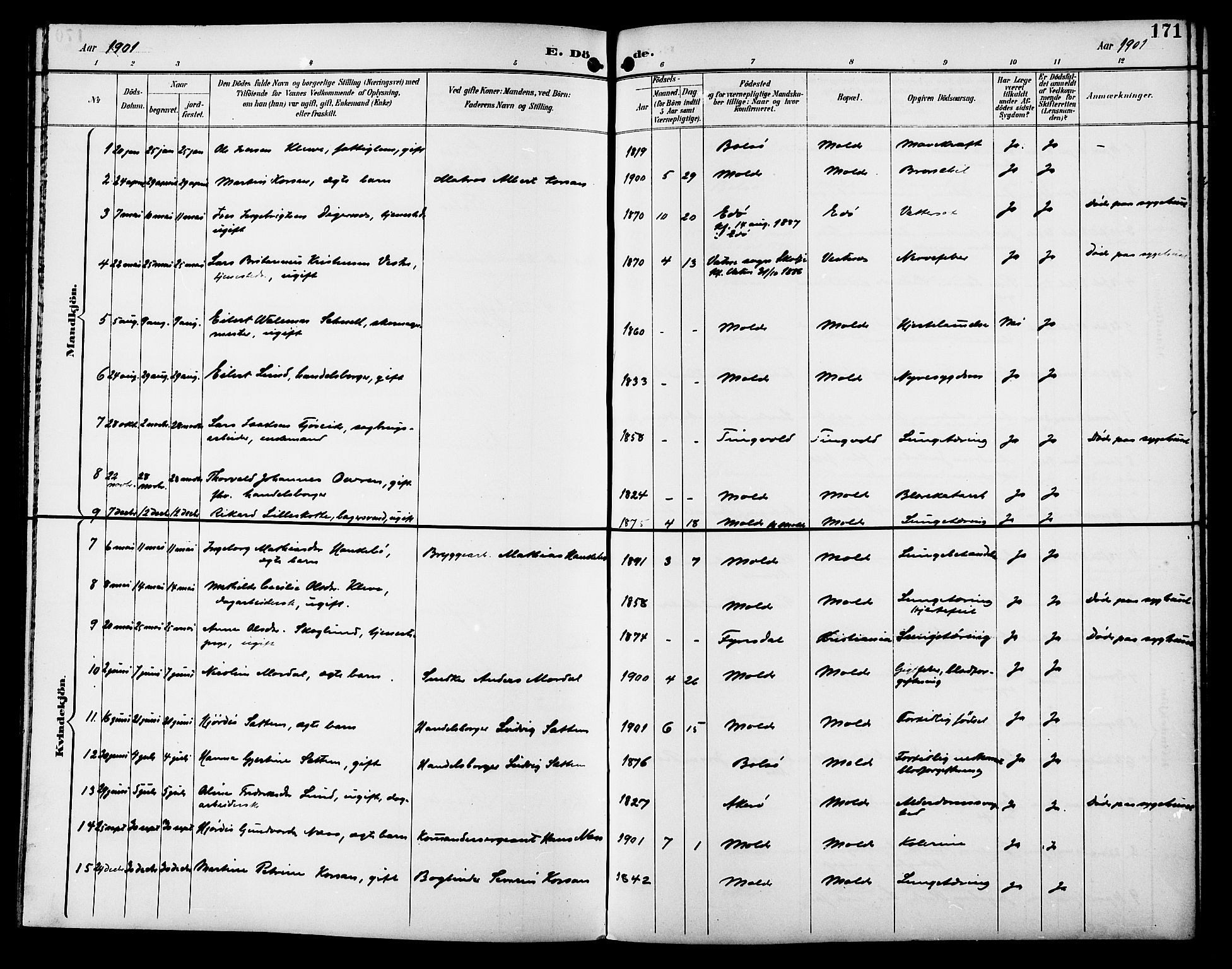 Ministerialprotokoller, klokkerbøker og fødselsregistre - Møre og Romsdal, AV/SAT-A-1454/558/L0702: Parish register (copy) no. 558C03, 1894-1915, p. 171