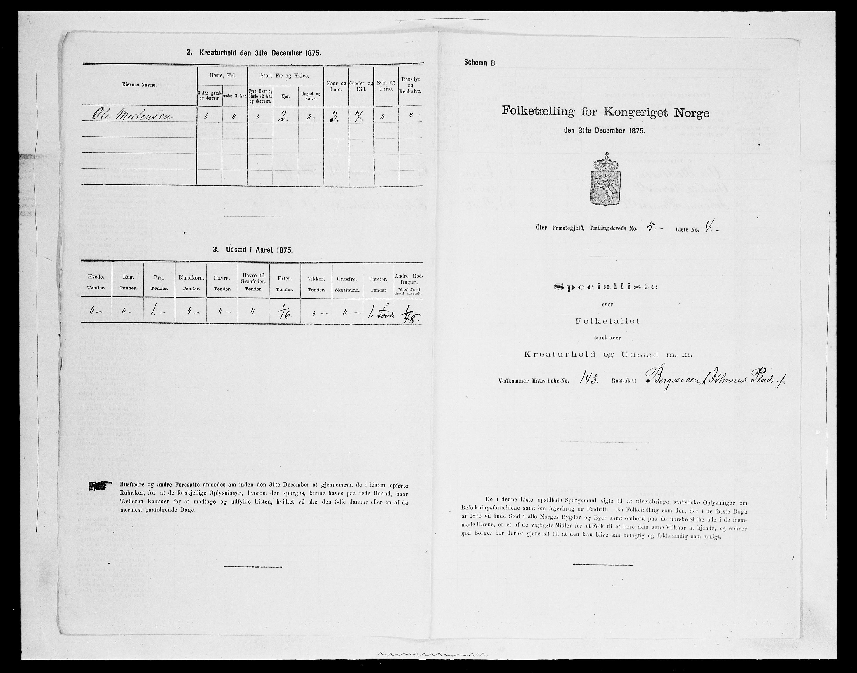 SAH, 1875 census for 0521P Øyer, 1875, p. 962