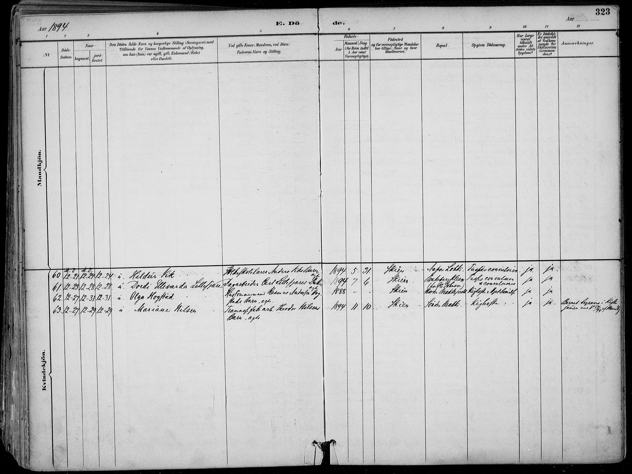 Skien kirkebøker, SAKO/A-302/F/Fa/L0010: Parish register (official) no. 10, 1891-1899, p. 323