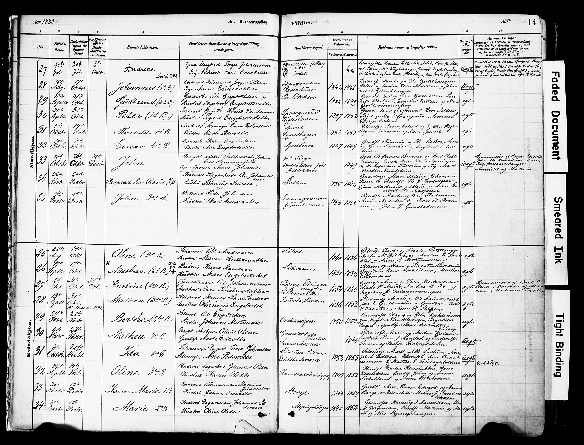 Ringebu prestekontor, AV/SAH-PREST-082/H/Ha/Haa/L0008: Parish register (official) no. 8, 1878-1898, p. 14