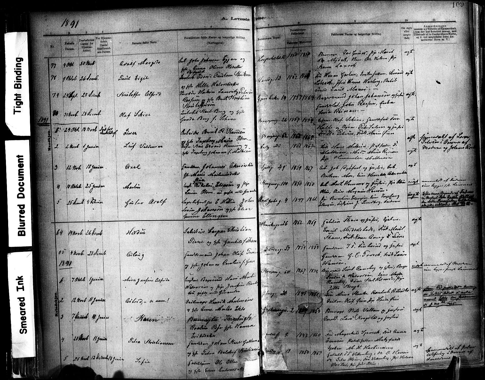 Ministerialprotokoller, klokkerbøker og fødselsregistre - Sør-Trøndelag, SAT/A-1456/602/L0119: Parish register (official) no. 602A17, 1880-1901, p. 109