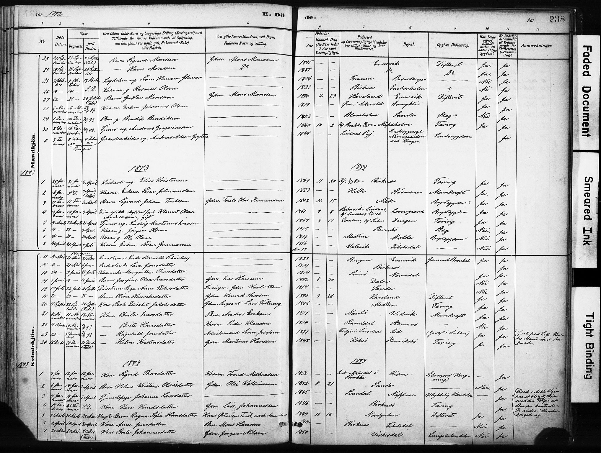 Gulen sokneprestembete, SAB/A-80201/H/Haa/Haab/L0001: Parish register (official) no. B 1, 1881-1905, p. 238