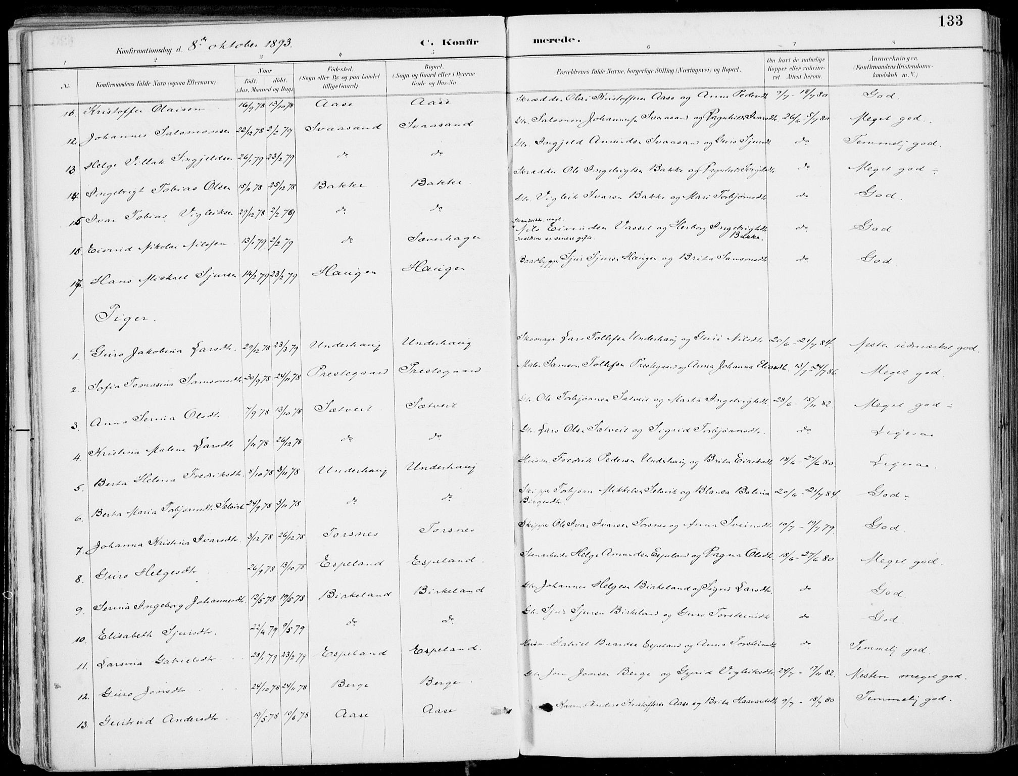 Strandebarm sokneprestembete, AV/SAB-A-78401/H/Haa: Parish register (official) no. E  1, 1886-1908, p. 133