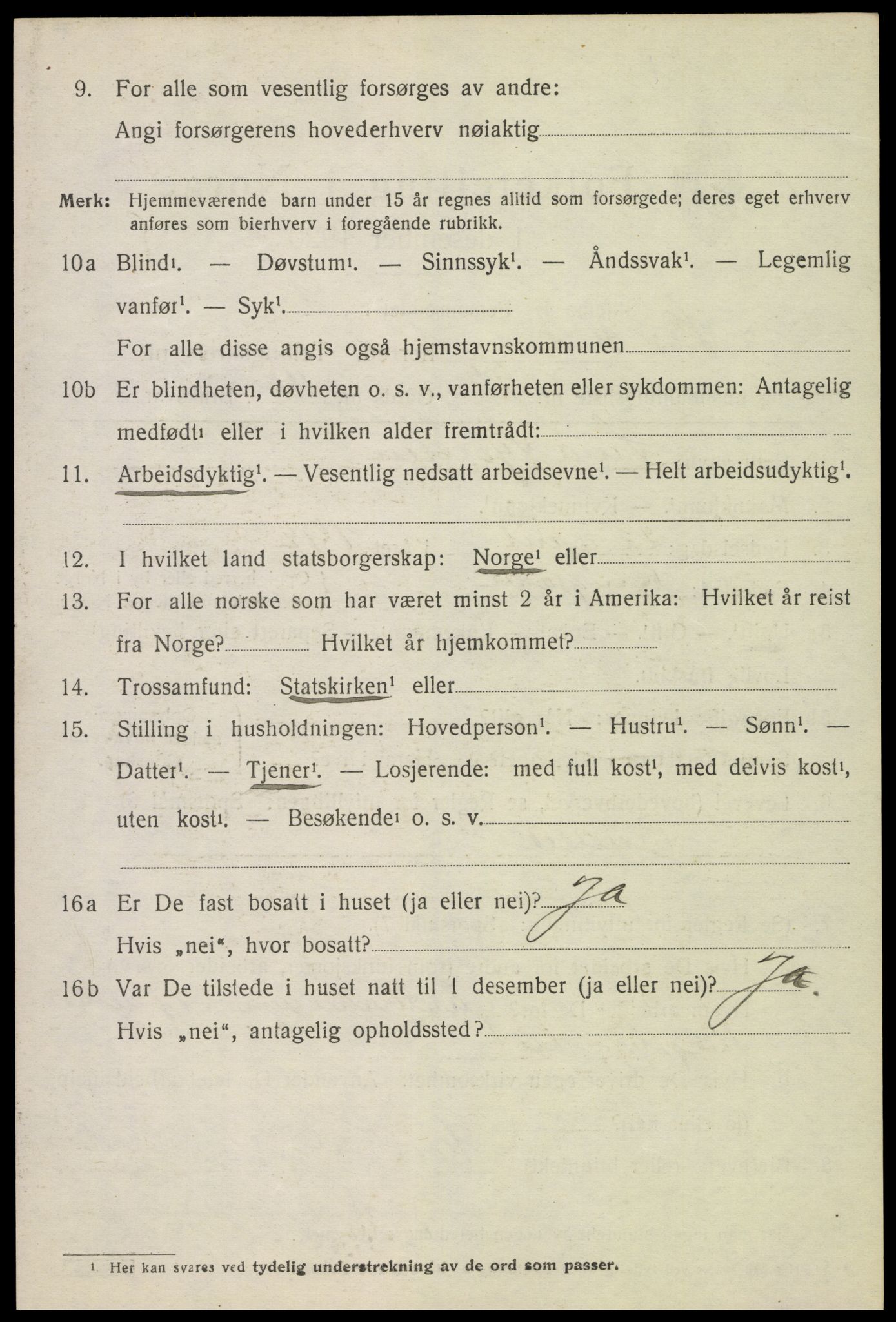 SAH, 1920 census for Nes (Hedmark), 1920, p. 6635