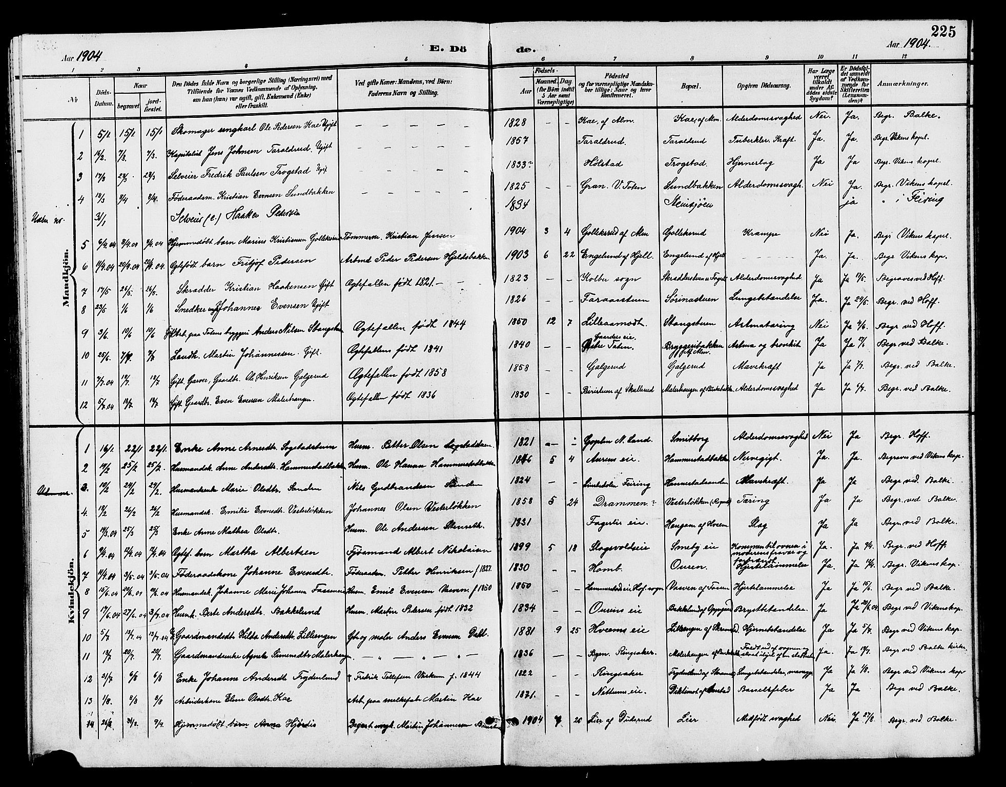 Østre Toten prestekontor, AV/SAH-PREST-104/H/Ha/Hab/L0007: Parish register (copy) no. 7, 1901-1912, p. 225