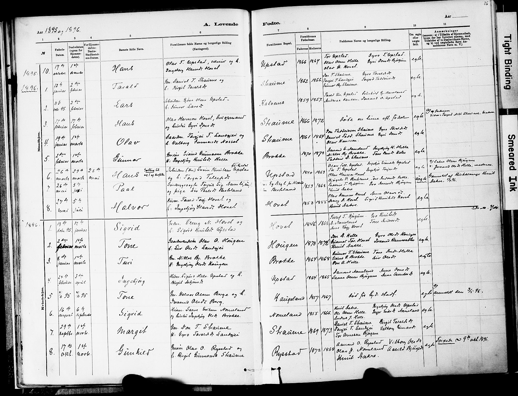 Valle sokneprestkontor, AV/SAK-1111-0044/F/Fa/Fab/L0001: Parish register (official) no. A 1, 1882-1910, p. 26