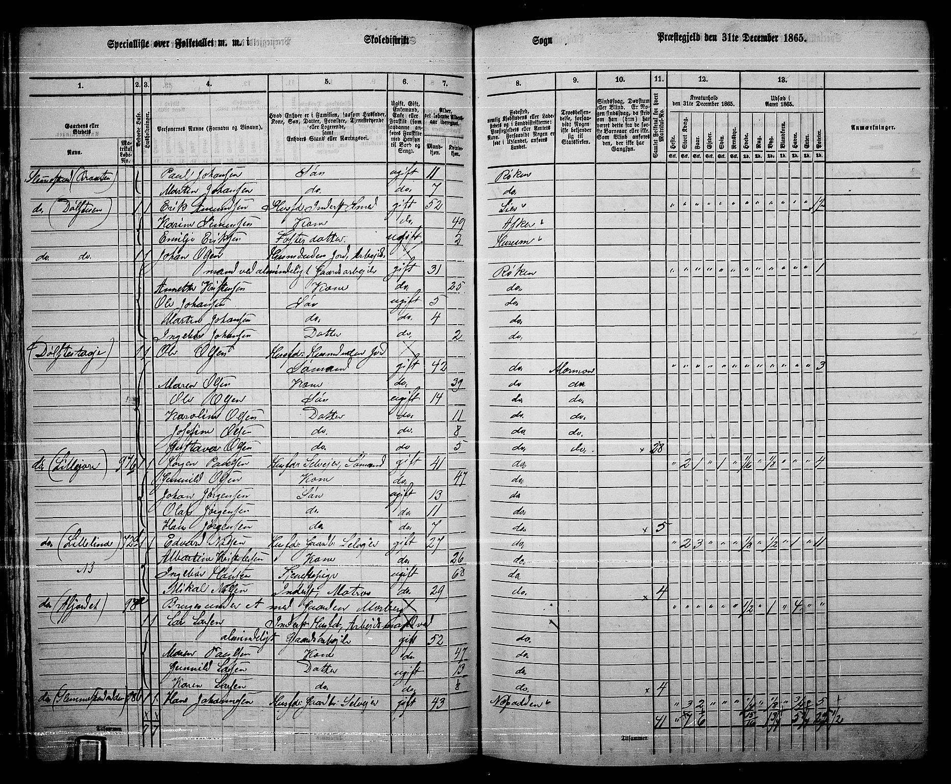 RA, 1865 census for Røyken, 1865, p. 72