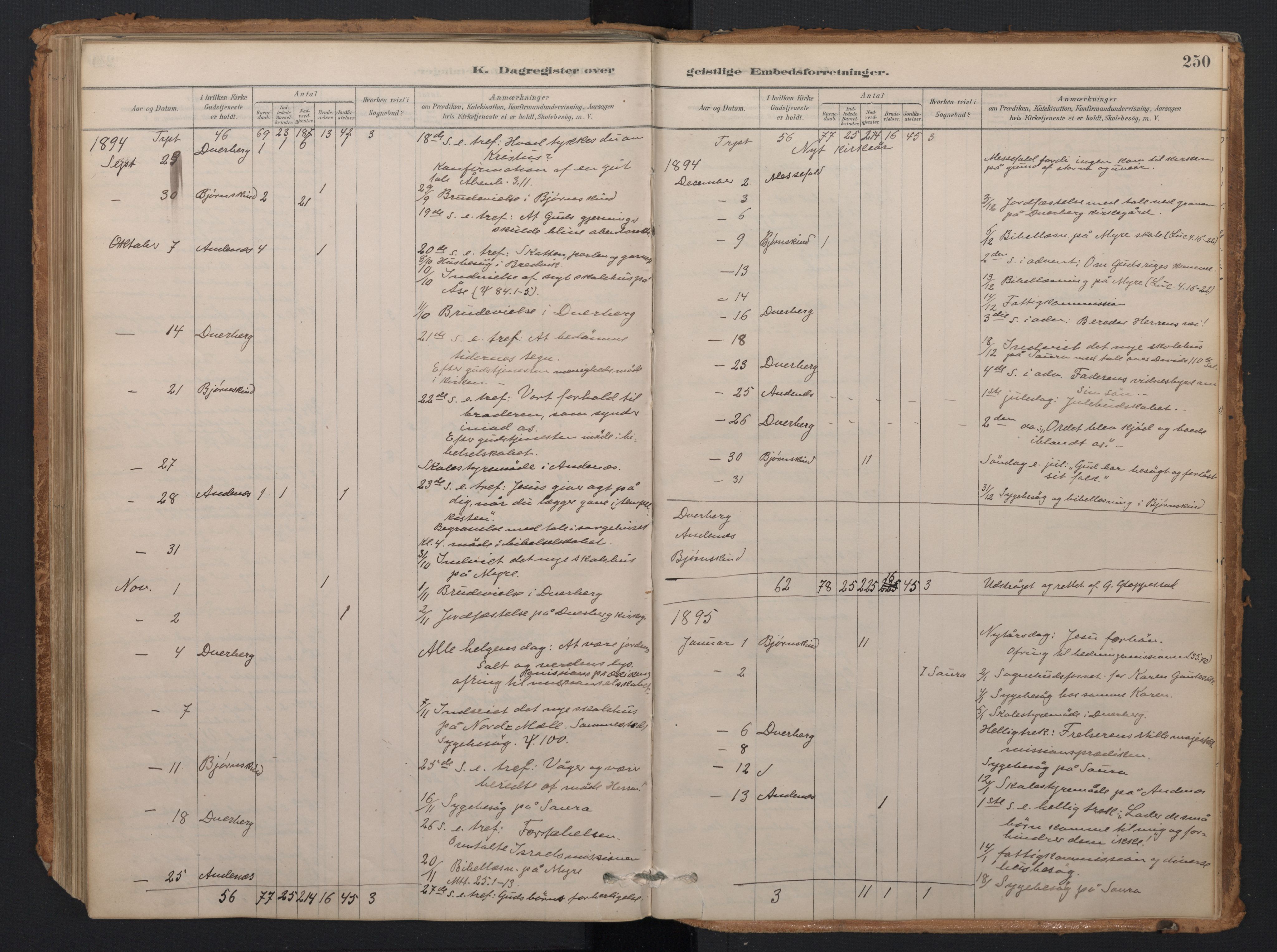 Ministerialprotokoller, klokkerbøker og fødselsregistre - Nordland, AV/SAT-A-1459/897/L1399: Parish register (official) no. 897A06, 1881-1896, p. 250