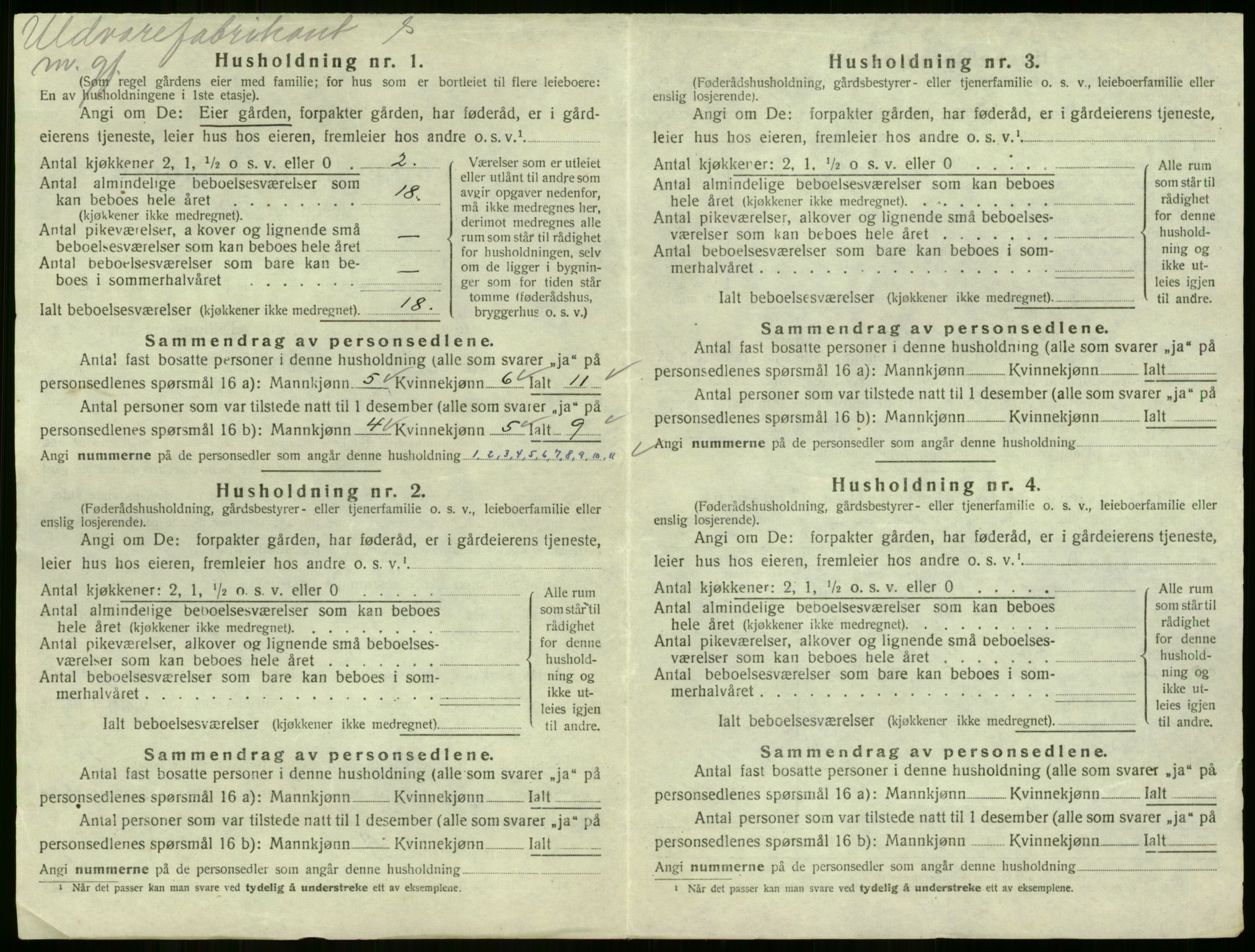 SAKO, 1920 census for Strømm, 1920, p. 21