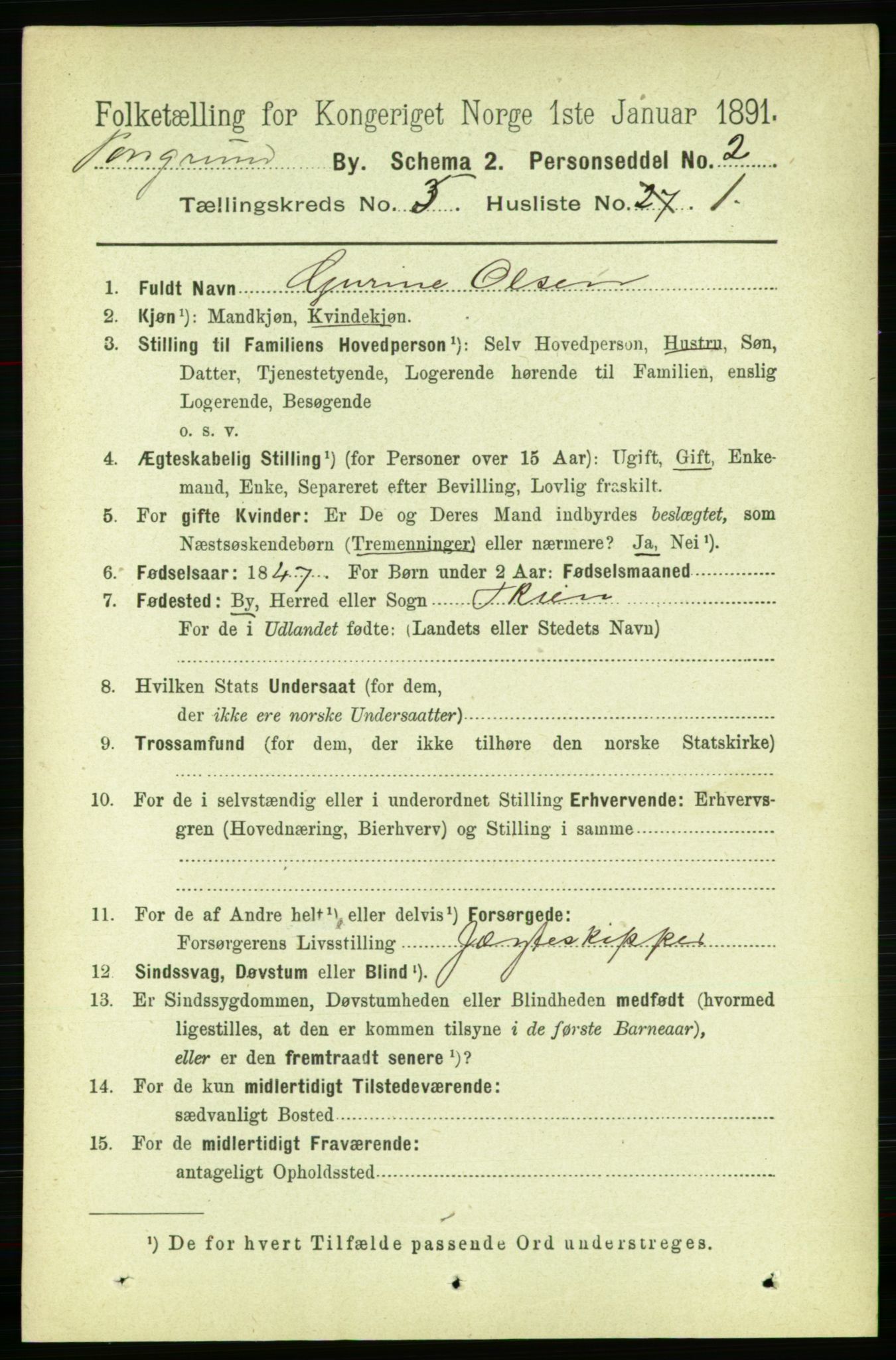RA, 1891 census for 0805 Porsgrunn, 1891, p. 4448
