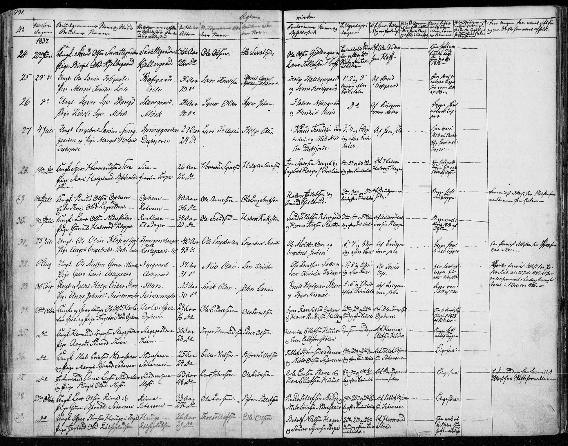 Ål kirkebøker, SAKO/A-249/F/Fa/L0005: Parish register (official) no. I 5, 1825-1848, p. 291