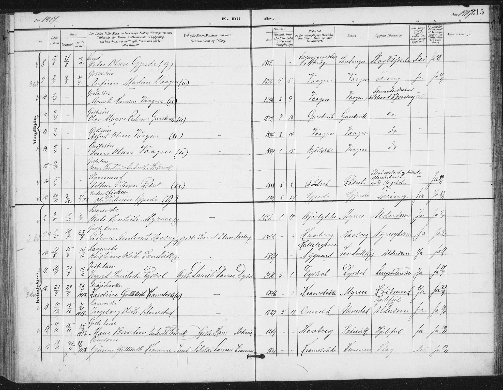 Ministerialprotokoller, klokkerbøker og fødselsregistre - Møre og Romsdal, SAT/A-1454/503/L0038: Parish register (official) no. 503A06, 1901-1917, p. 215