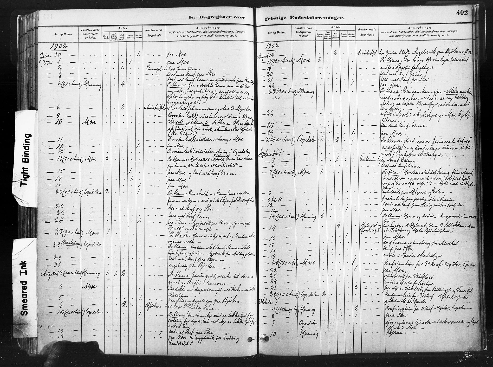 Ministerialprotokoller, klokkerbøker og fødselsregistre - Nord-Trøndelag, AV/SAT-A-1458/735/L0351: Parish register (official) no. 735A10, 1884-1908, p. 402