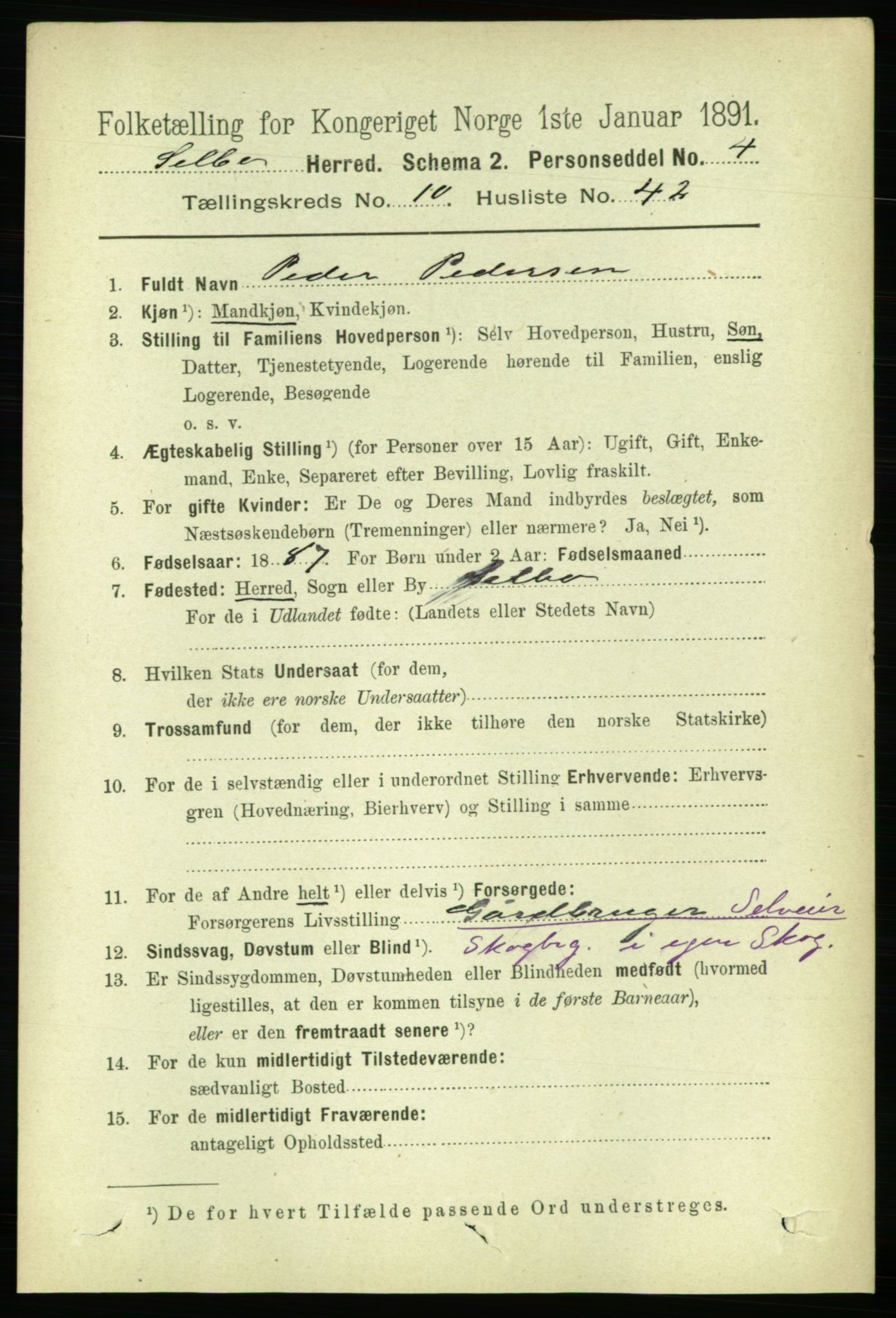 RA, 1891 census for 1664 Selbu, 1891, p. 3922