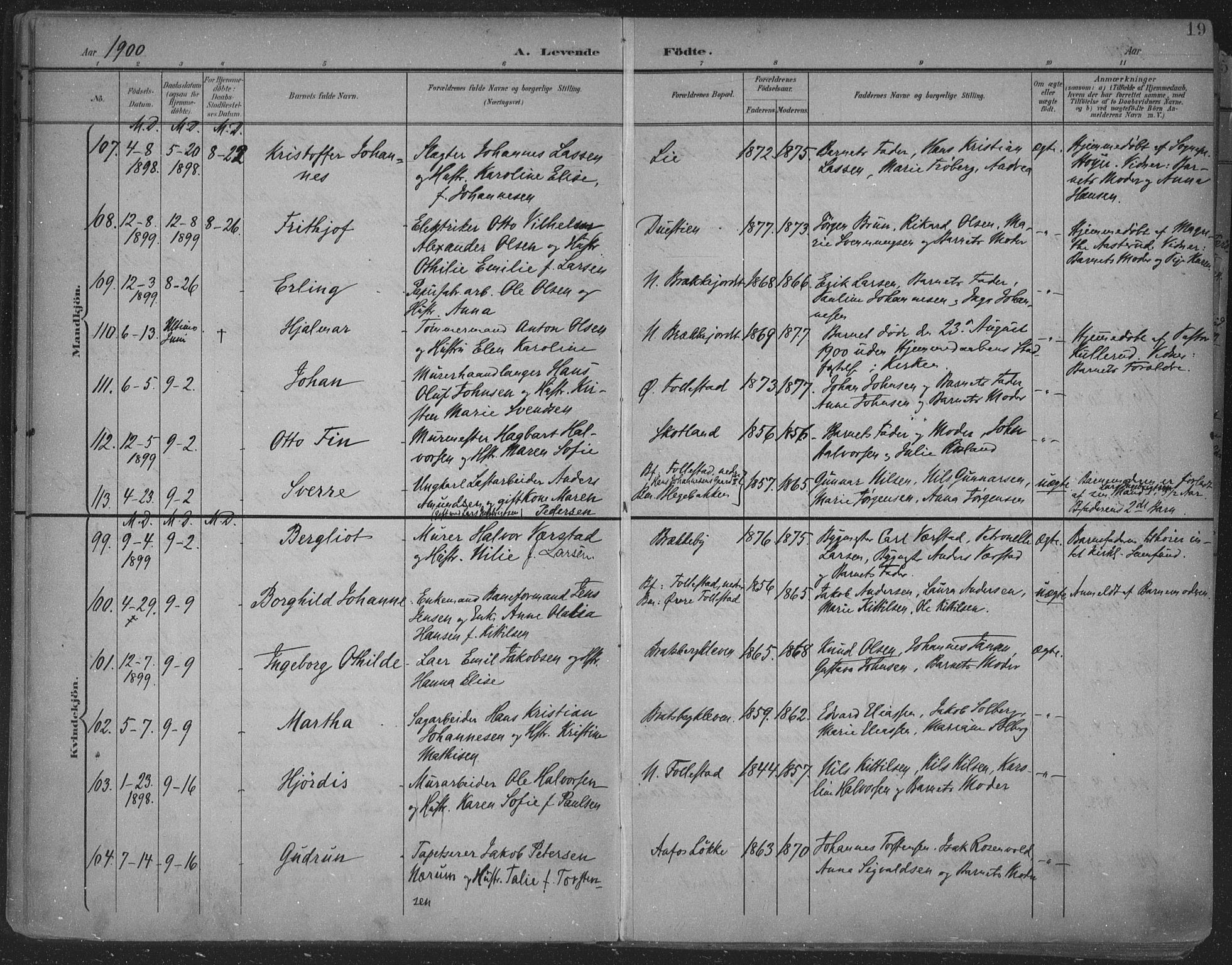 Skien kirkebøker, AV/SAKO-A-302/F/Fa/L0011: Parish register (official) no. 11, 1900-1907, p. 19