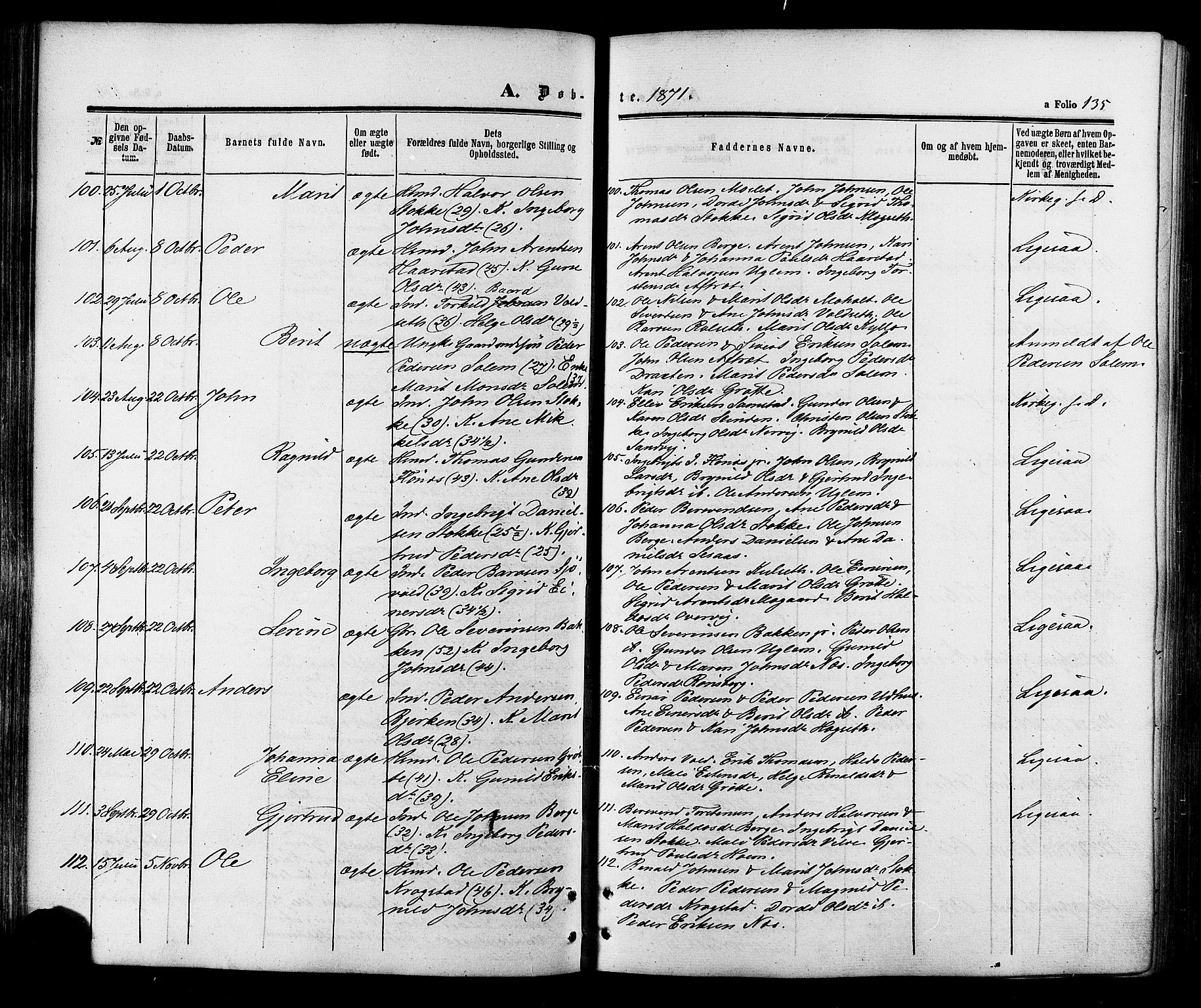 Ministerialprotokoller, klokkerbøker og fødselsregistre - Sør-Trøndelag, AV/SAT-A-1456/695/L1147: Parish register (official) no. 695A07, 1860-1877, p. 135