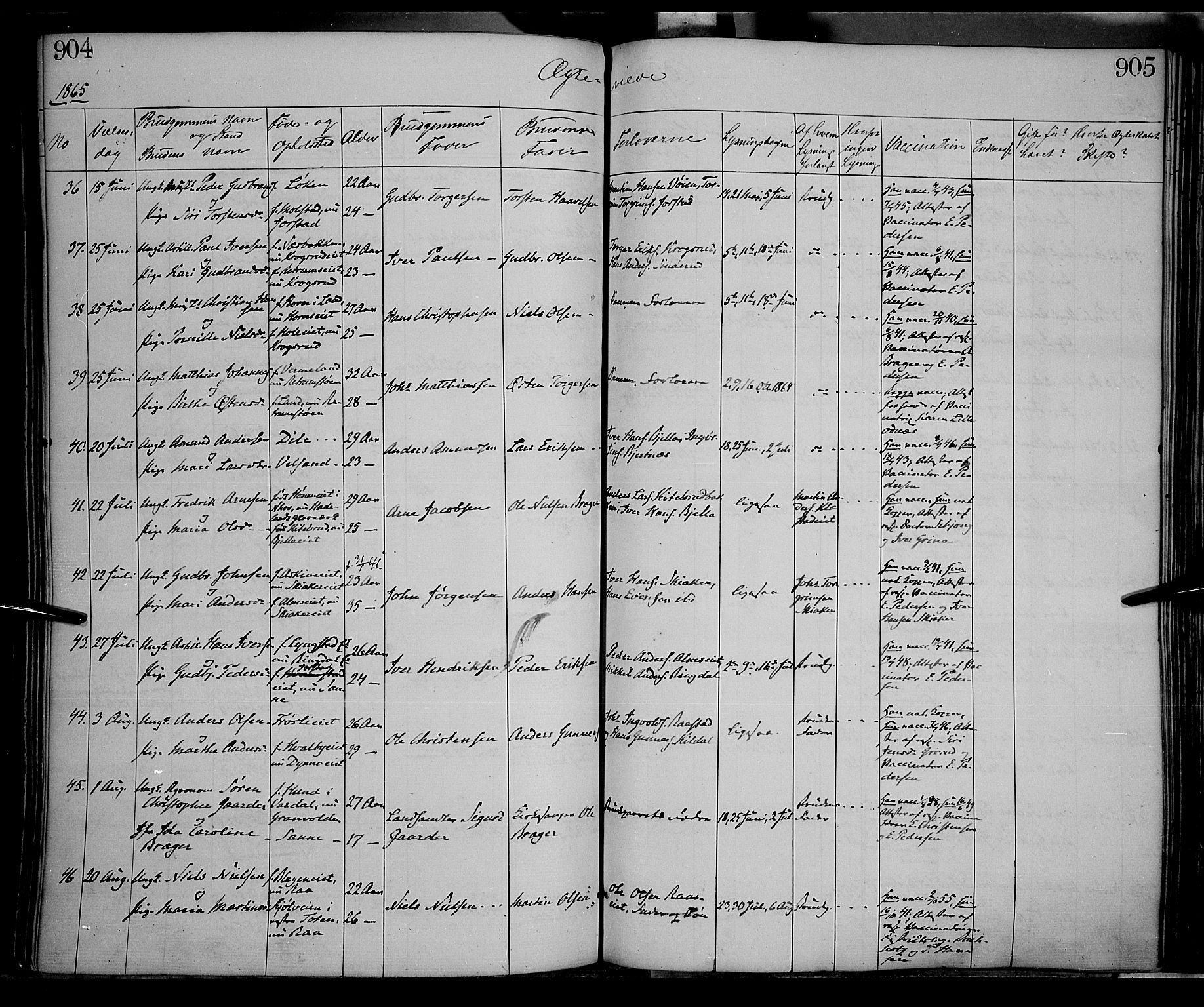 Gran prestekontor, AV/SAH-PREST-112/H/Ha/Haa/L0012: Parish register (official) no. 12, 1856-1874, p. 904-905