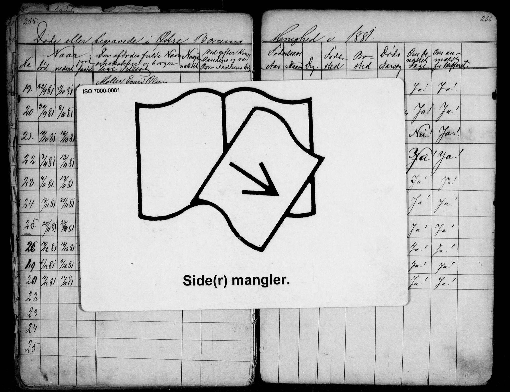 Asker prestekontor Kirkebøker, AV/SAO-A-10256a/G/Gc/L0002: Parish register (copy) no. III 2, 1874-1883, p. 255-256