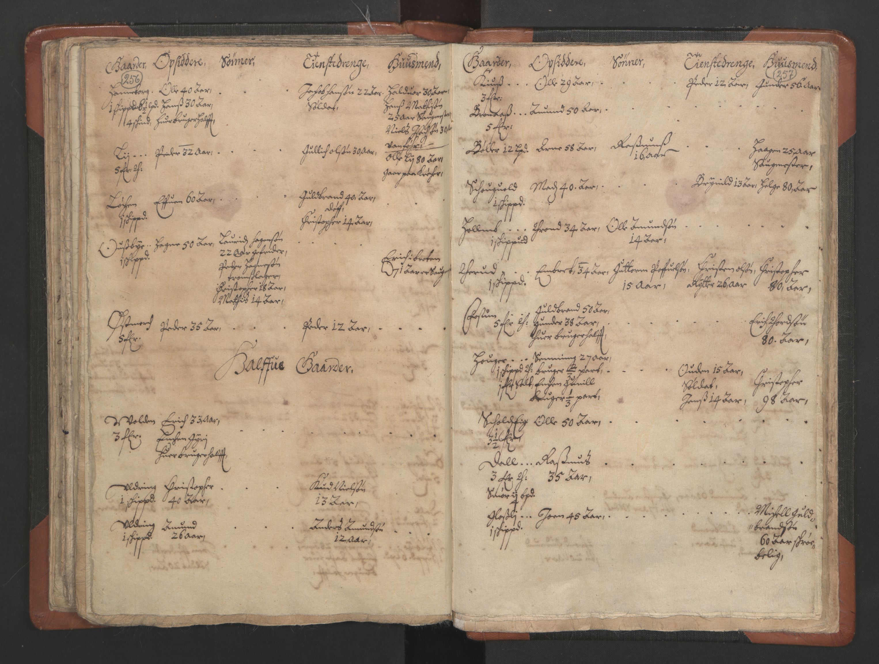 RA, Vicar's Census 1664-1666, no. 3: Nedre Romerike deanery, 1664-1666, p. 256-257